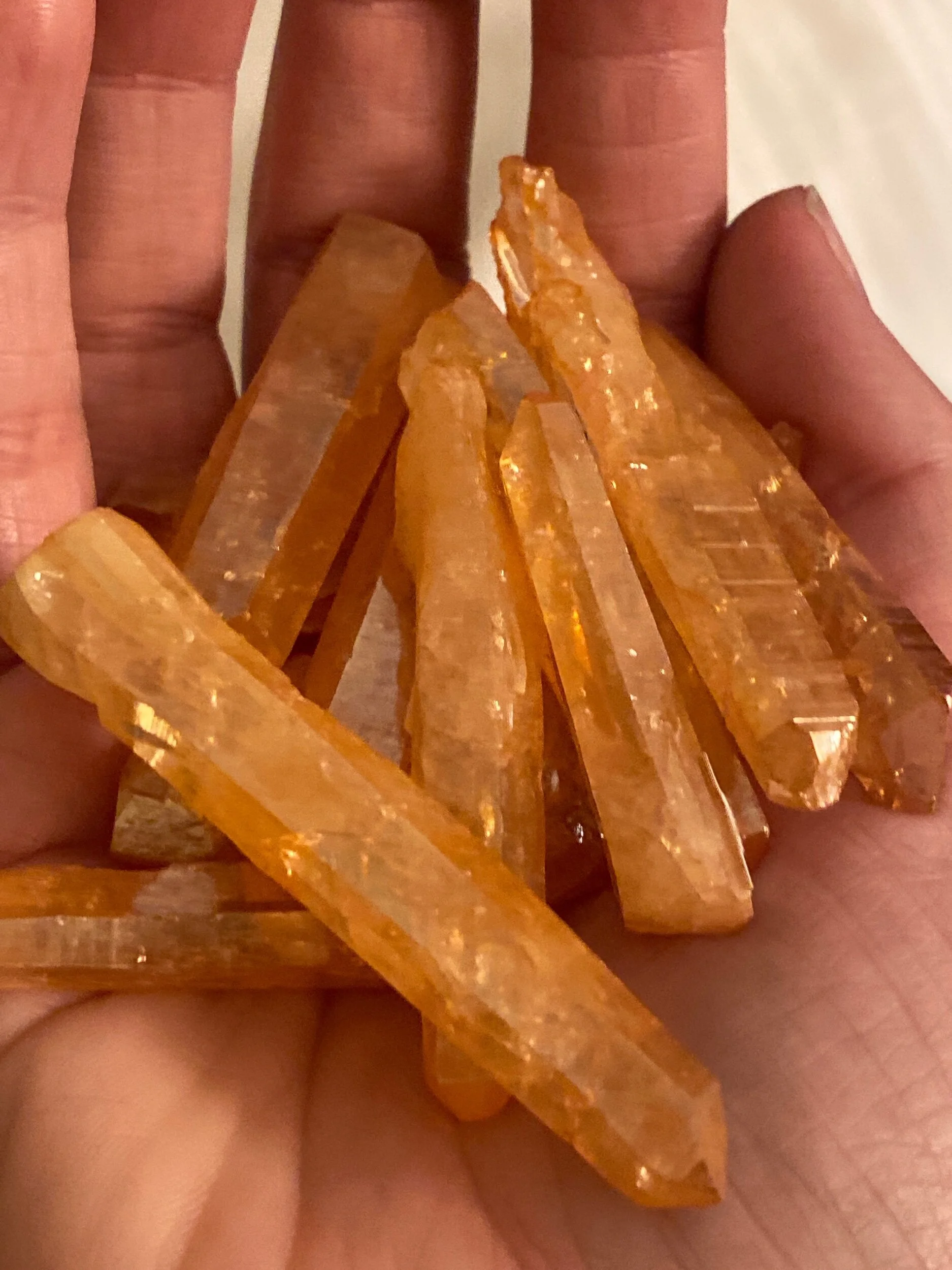 A8F7732C-01D9-44DE-BBC1-CA4FF4EBCB55