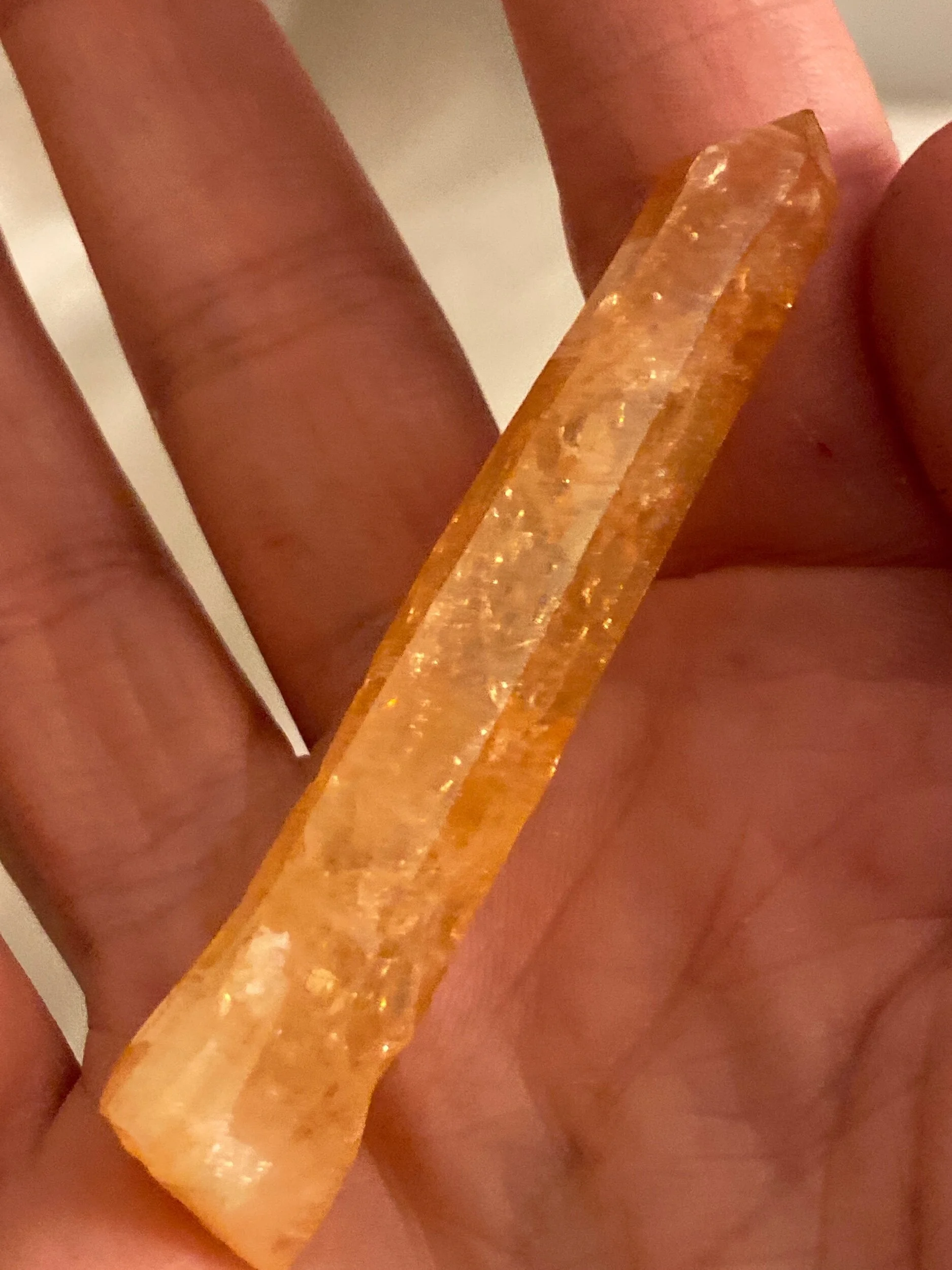 C6AFB057-F521-469A-83D6-3C4B1C4C59C2