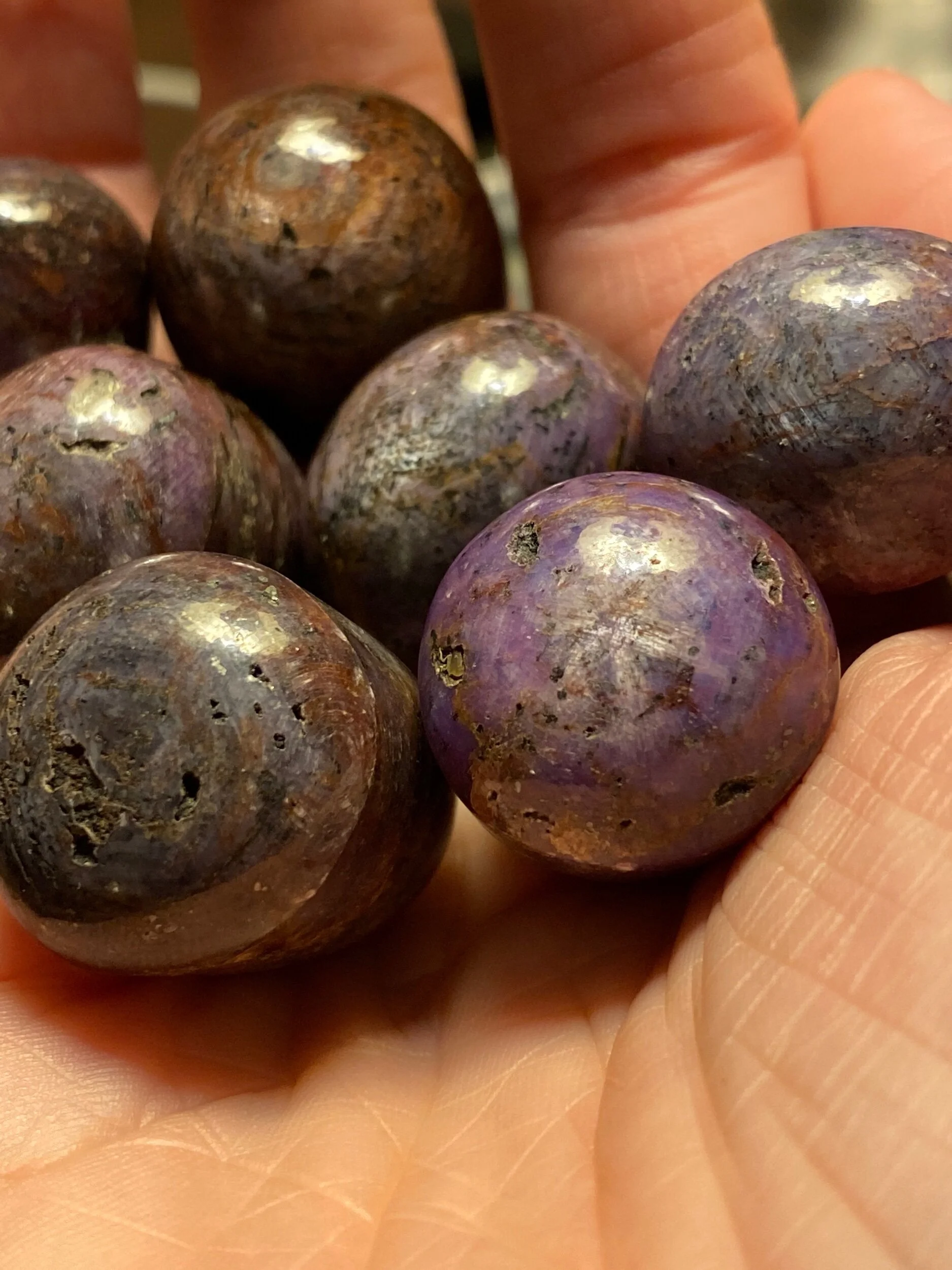 77F55F00-F061-47B1-BAEF-6349B10ECDFF