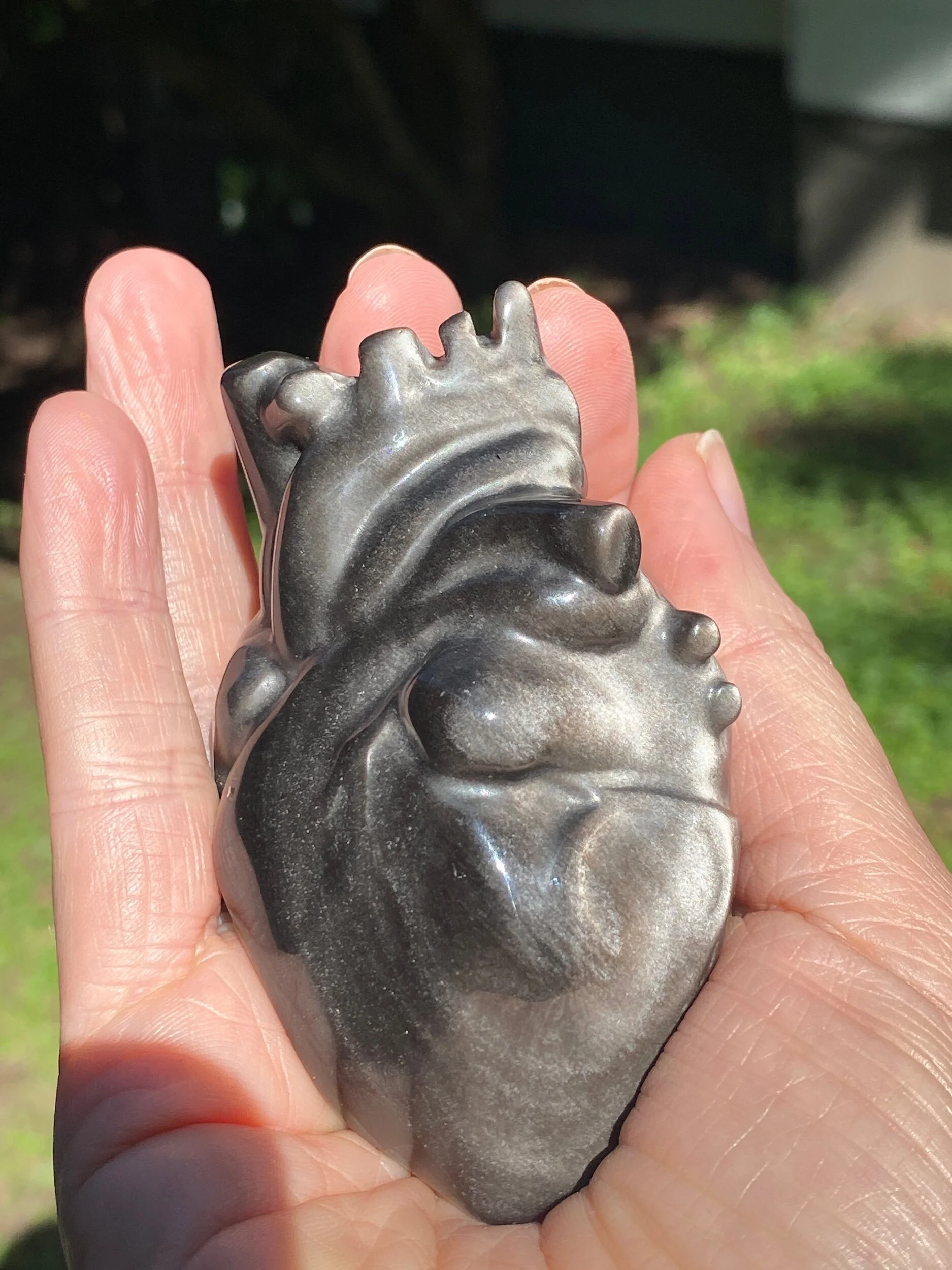 EB93E6A7-DDC7-45B6-A923-310D4BA48C8D