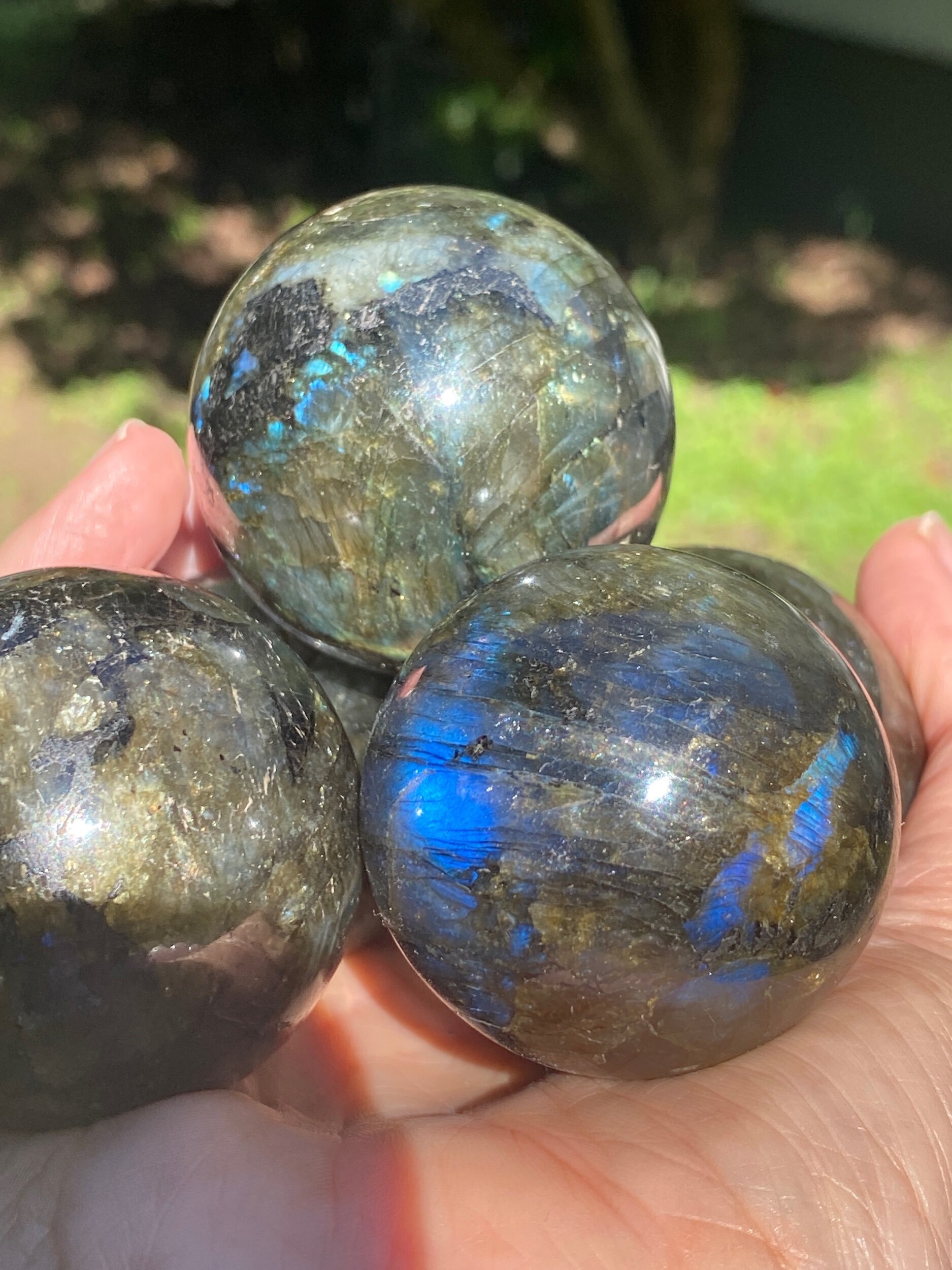 4A3CB1E1-036F-42AF-90AE-BE476F9C6677