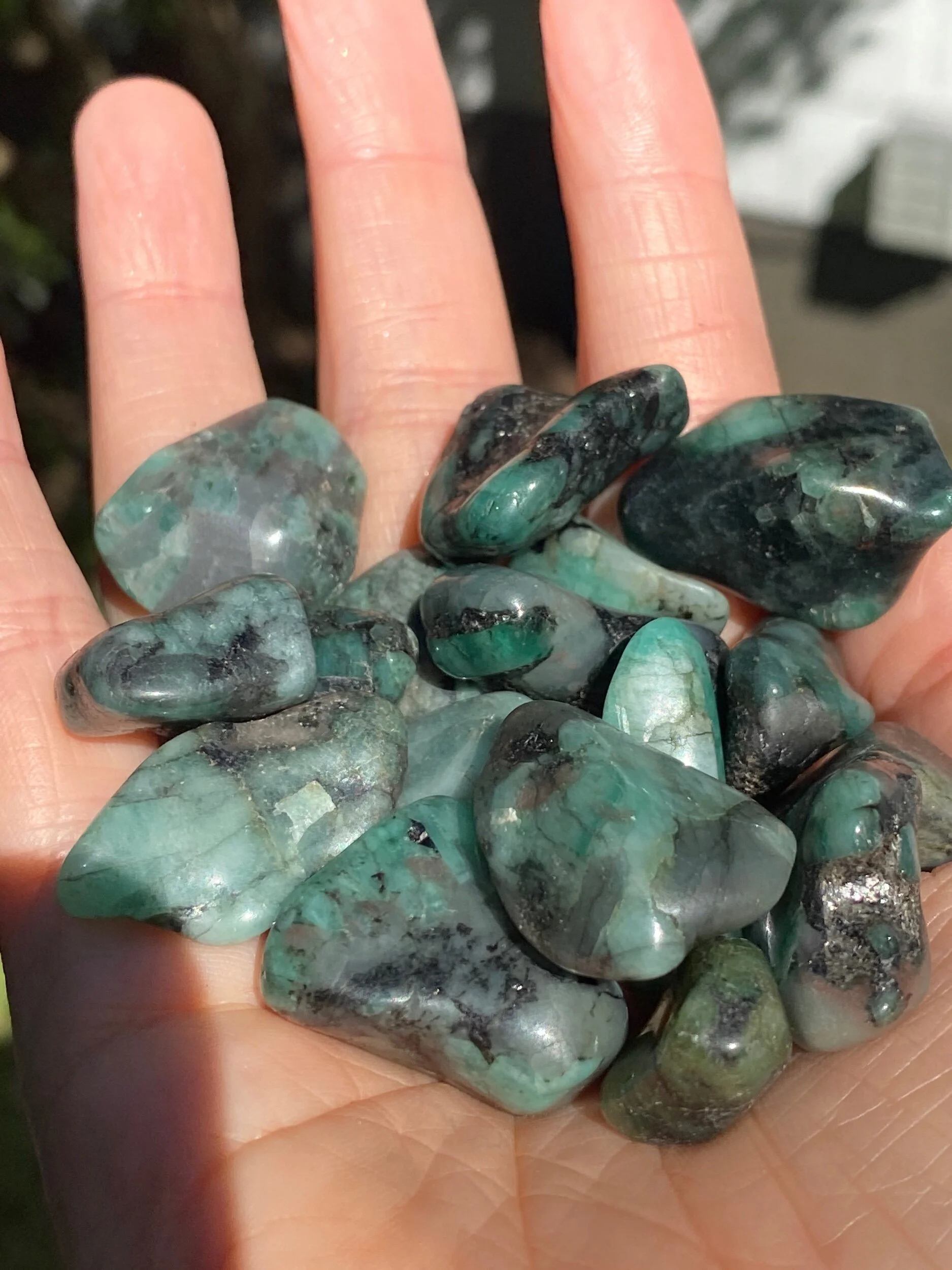 1F0559A7-AB29-44F7-A454-1A6E879F805F