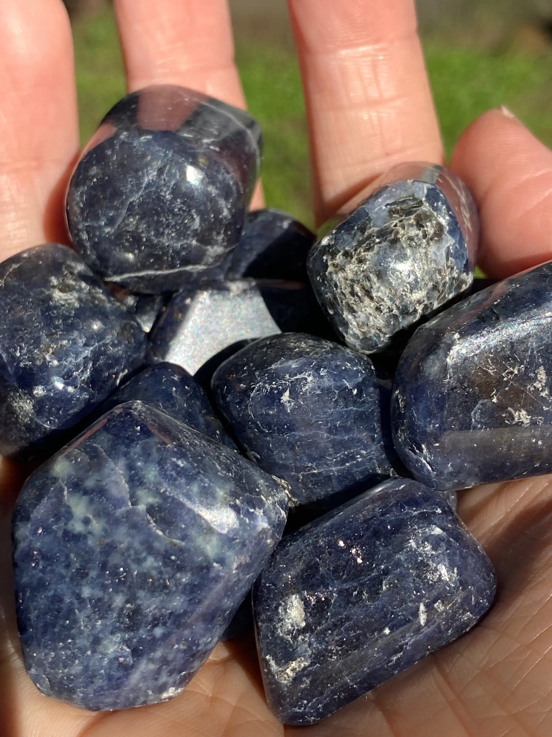 00E331FB-C0E5-4365-8E1A-2E7F92A9FEB0