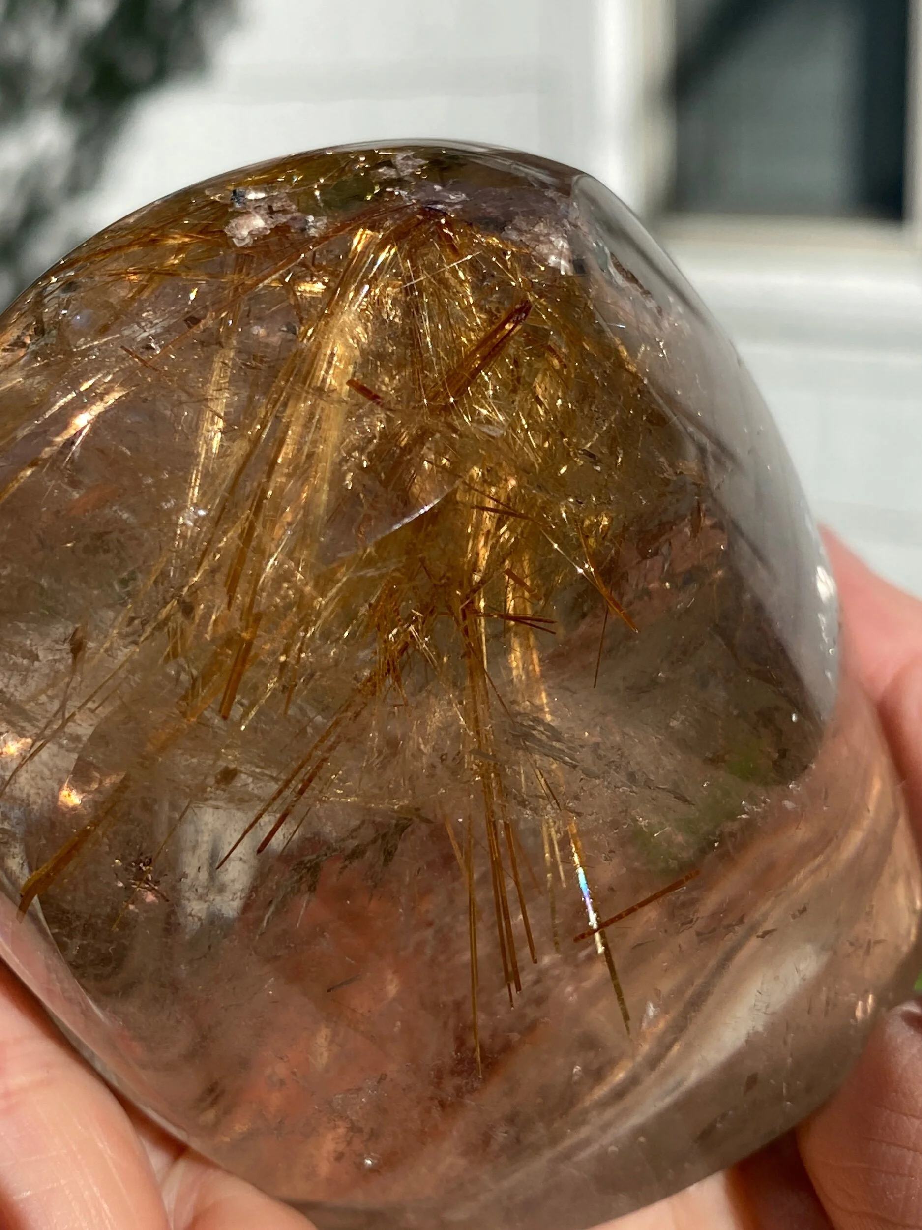 49A95298-0E00-4F37-AAEF-A44C95F71AED