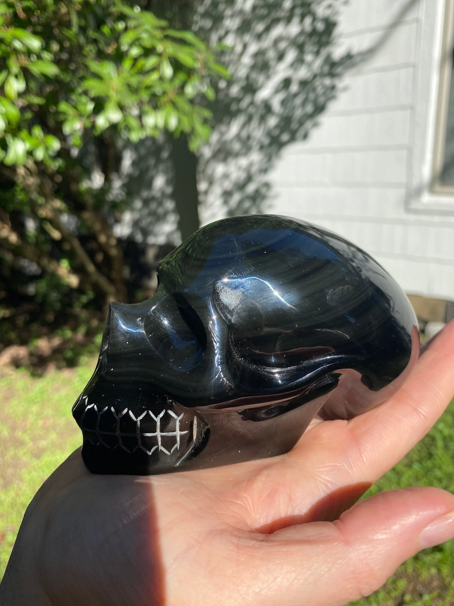 2FC24A90-75D5-4700-99B9-F7BB785A1628