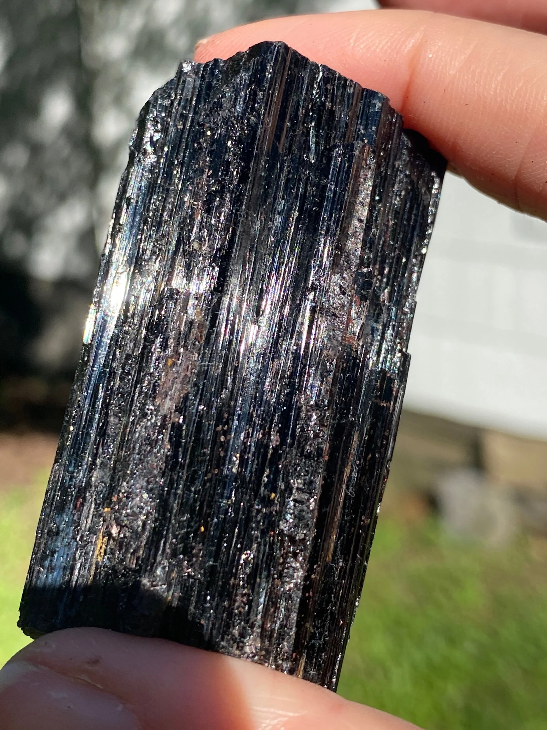 84A2B7AC-4CCD-4494-9EDE-B68C5E2E5BC3