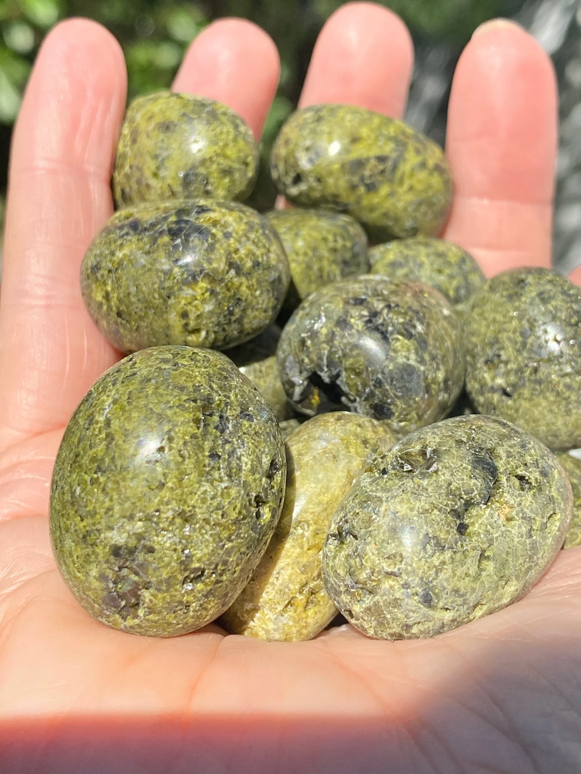 4D576DA3-4180-4FF5-9249-1F34636915E4