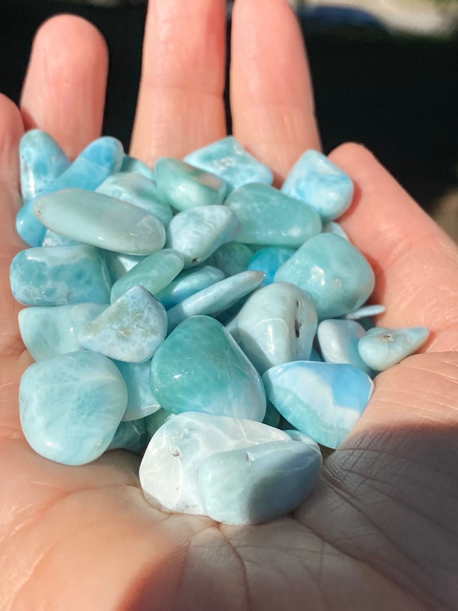 691FF2F6-A682-4119-B2A5-F21E8D47B594