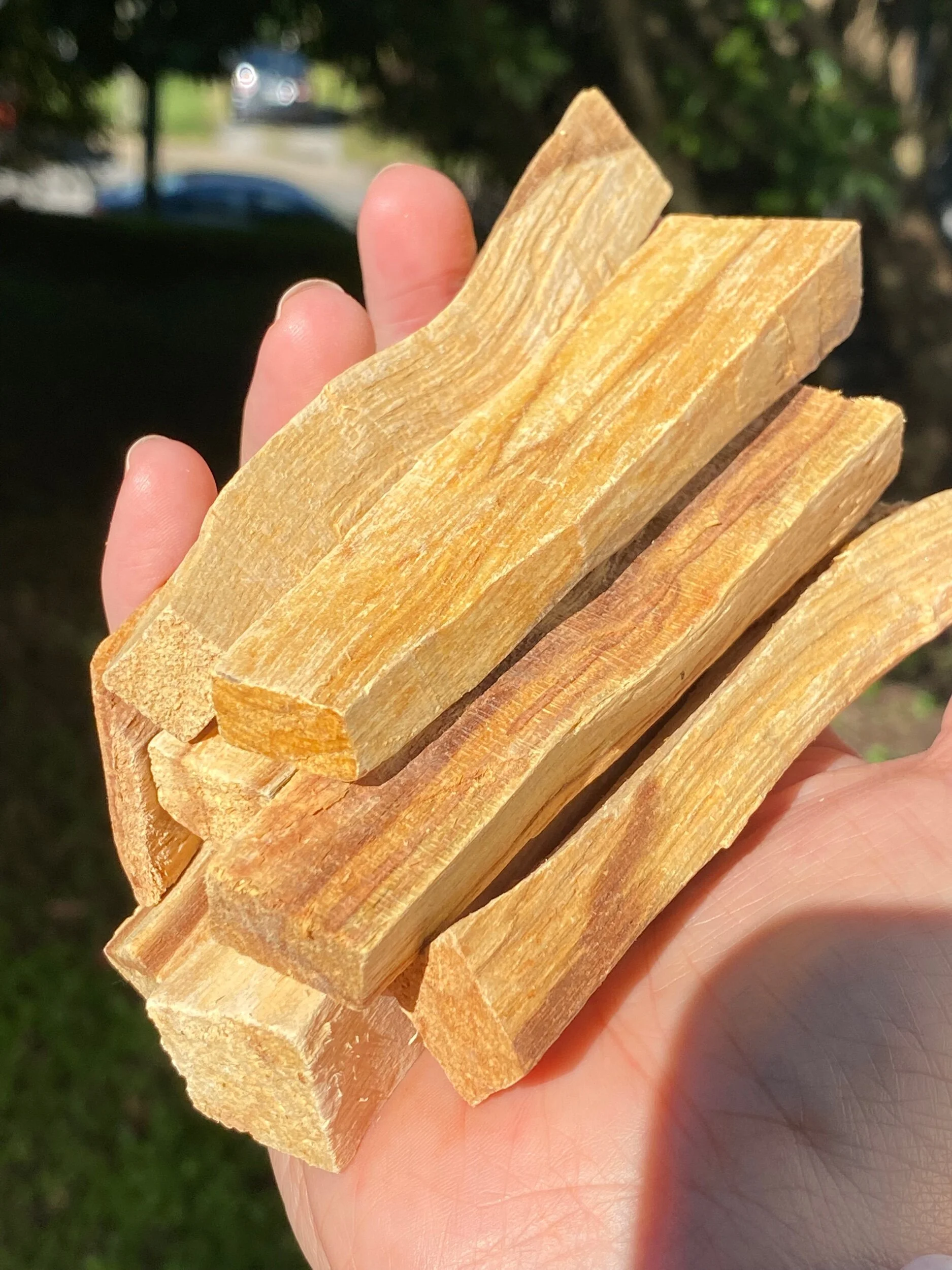 5C1BF5BF-A9A2-4940-A8F0-20F4C3FACD2F