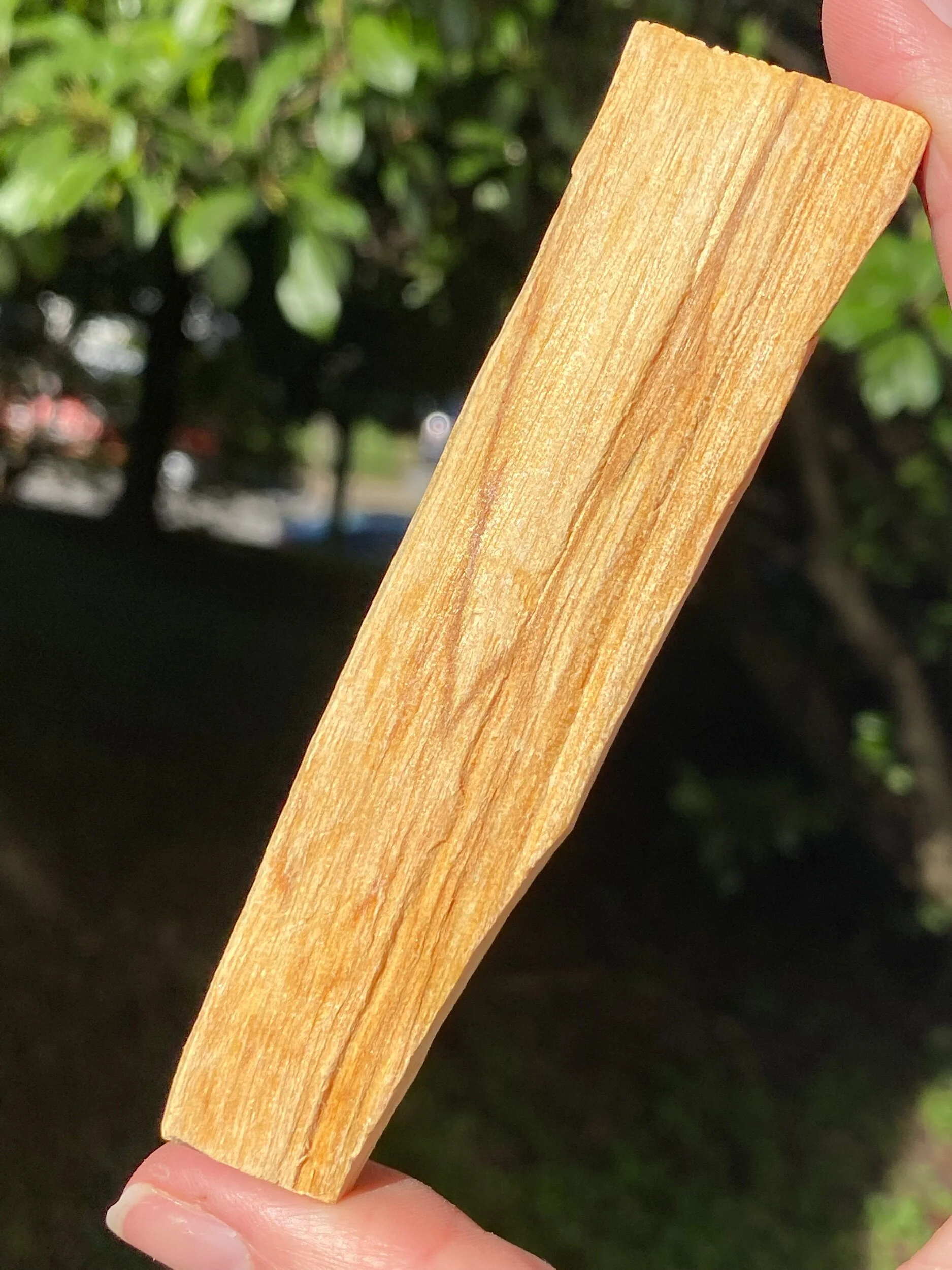 A3B02631-40FF-447E-B421-0F33AF2A27A7