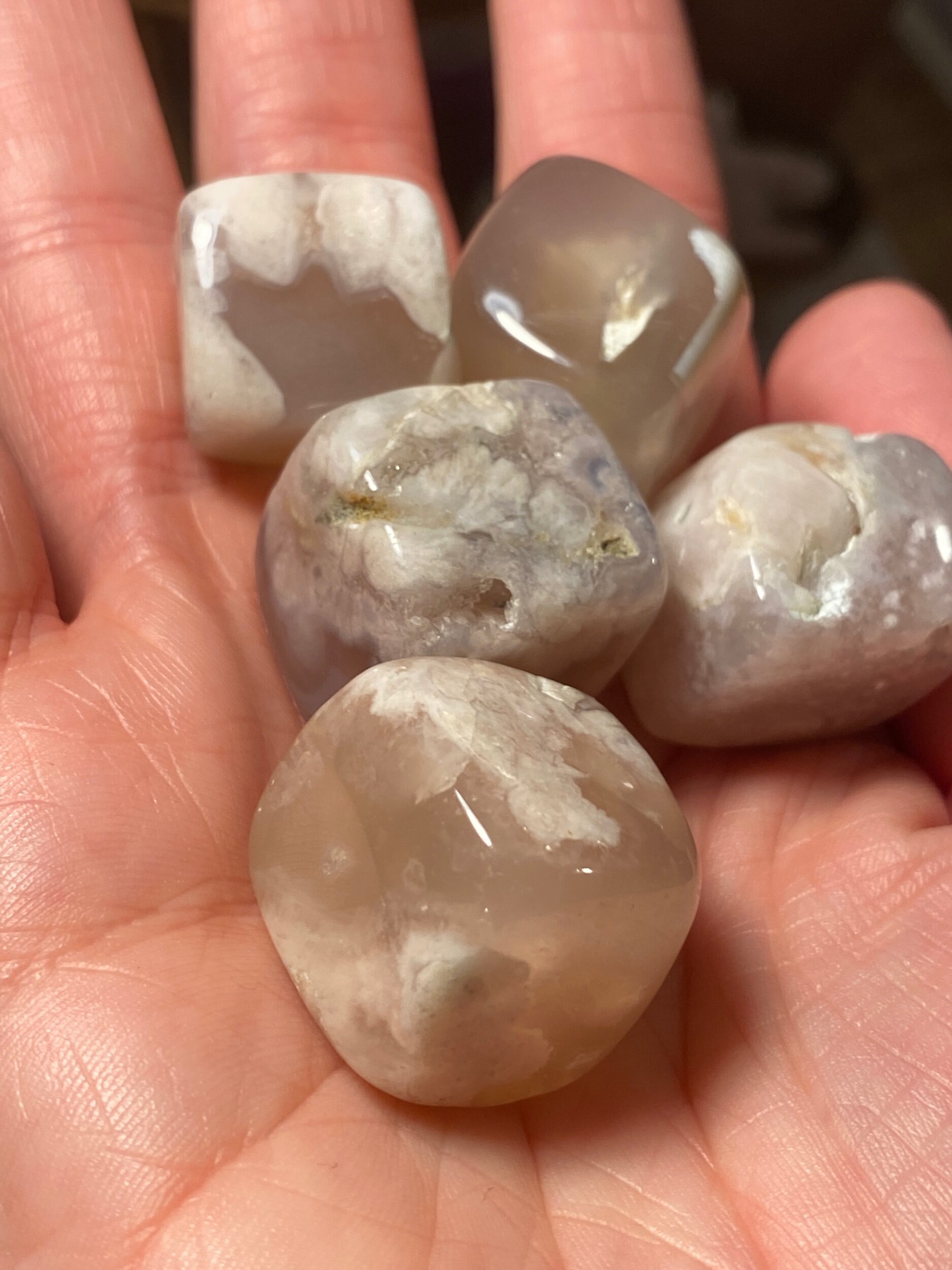 205FC402-761B-4A0D-A0DE-A3A52AA339C4