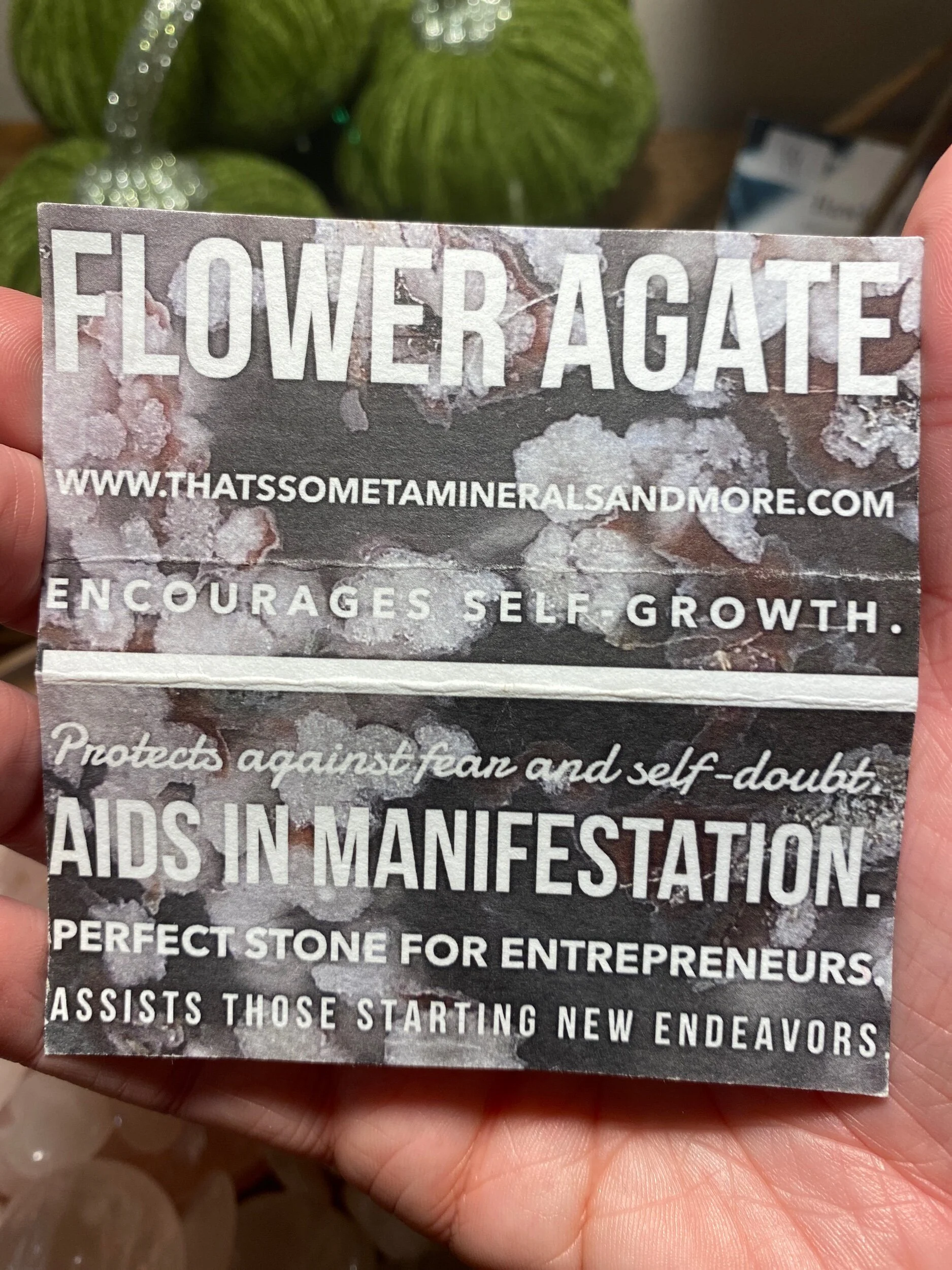 E2E18F55-A267-421A-9E45-F91FFB049915