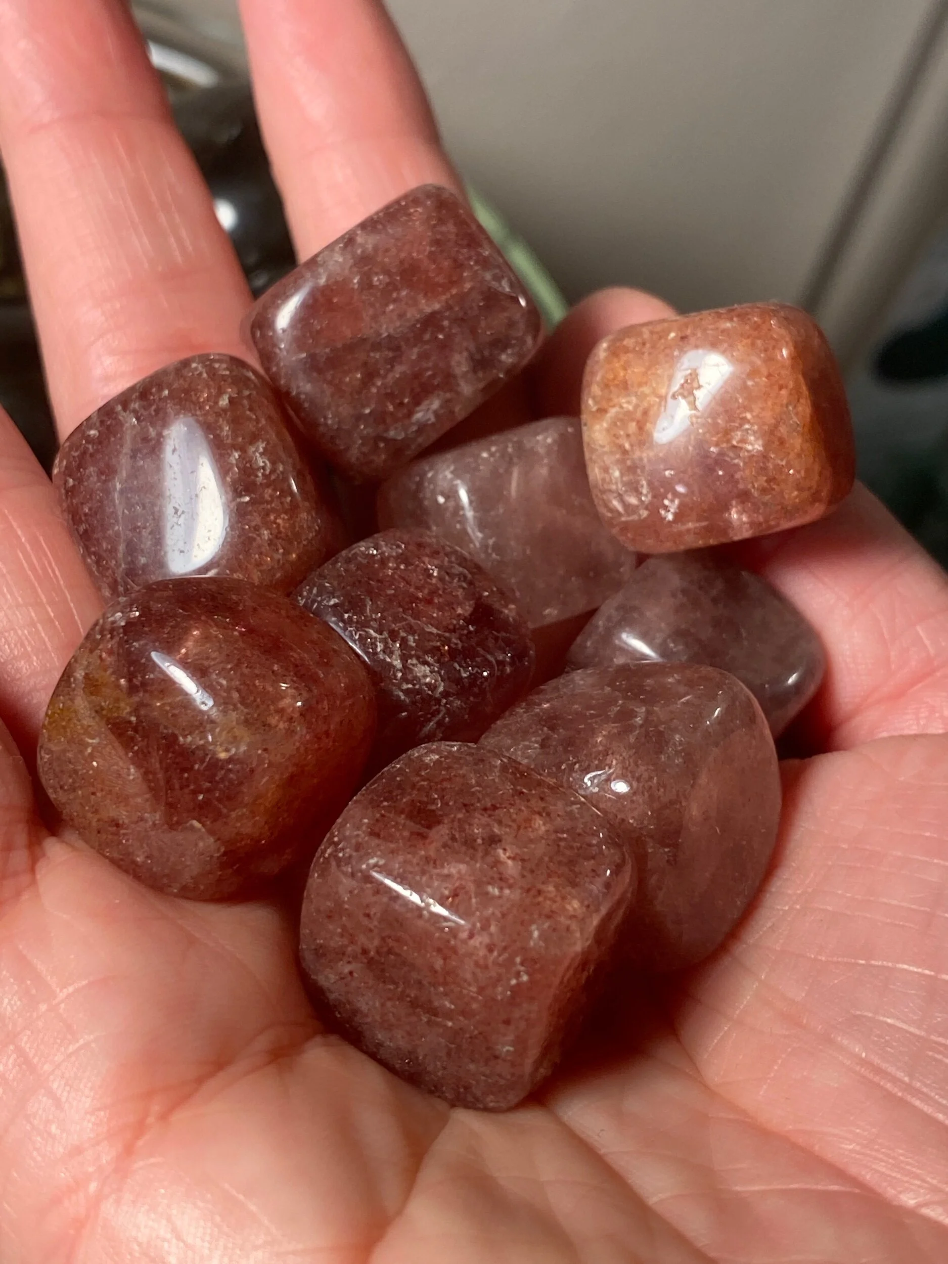 36864069-B03B-4732-A6E2-EF54DE40A977