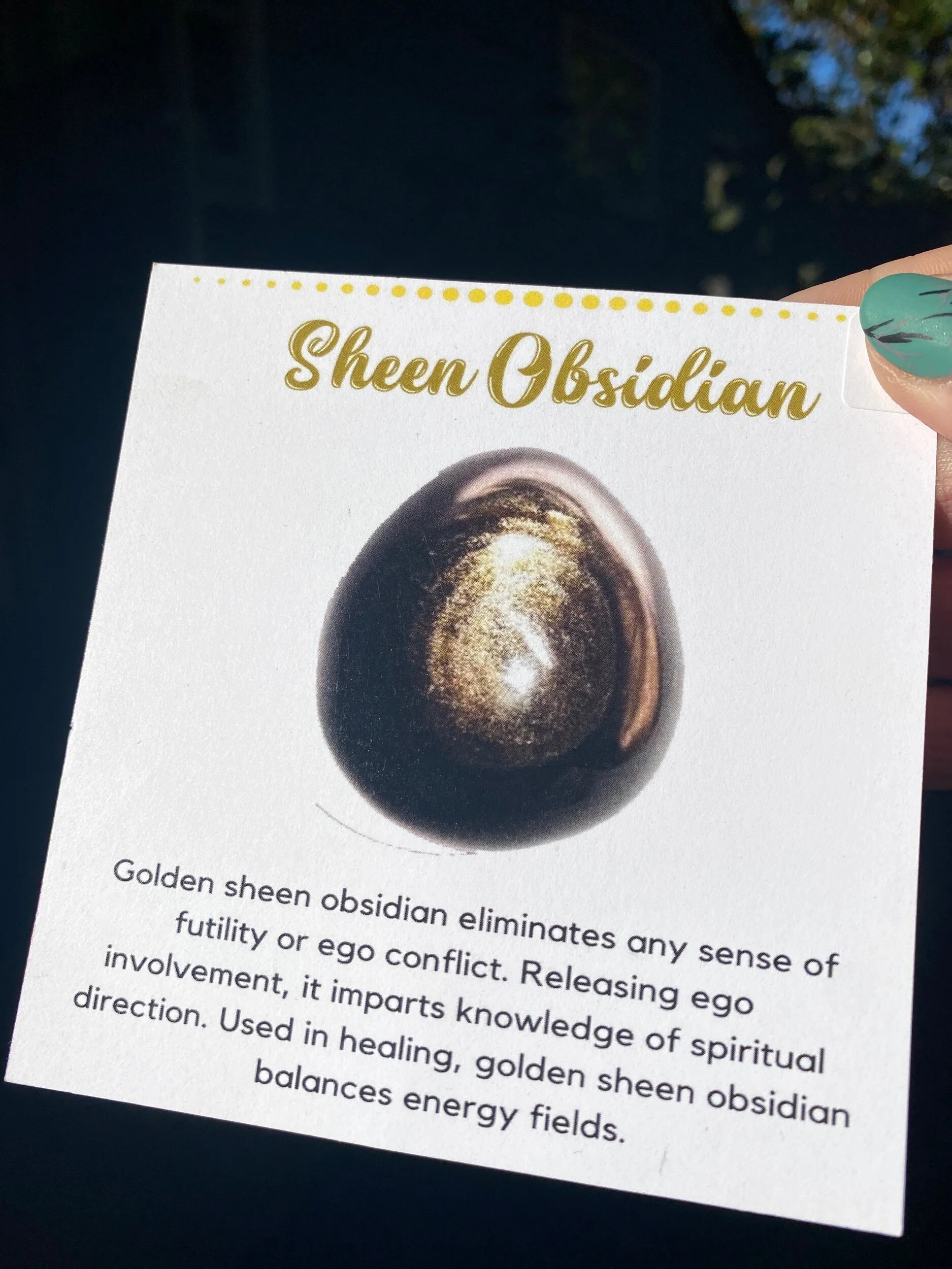 AE8FD59D-BB07-4C18-85CF-0D823EC26B38