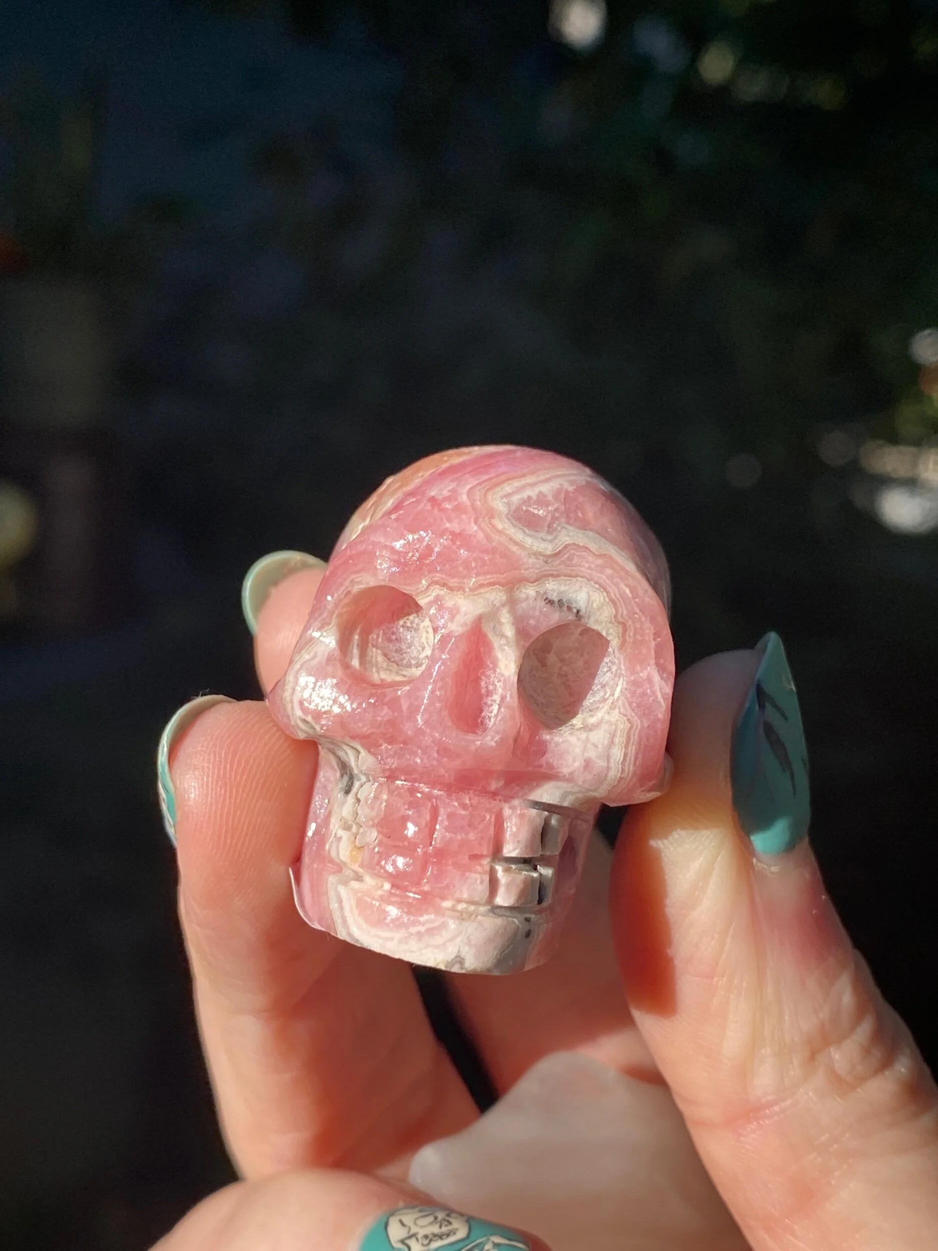 5F69544D-23E6-4694-924A-F6C10A60D047