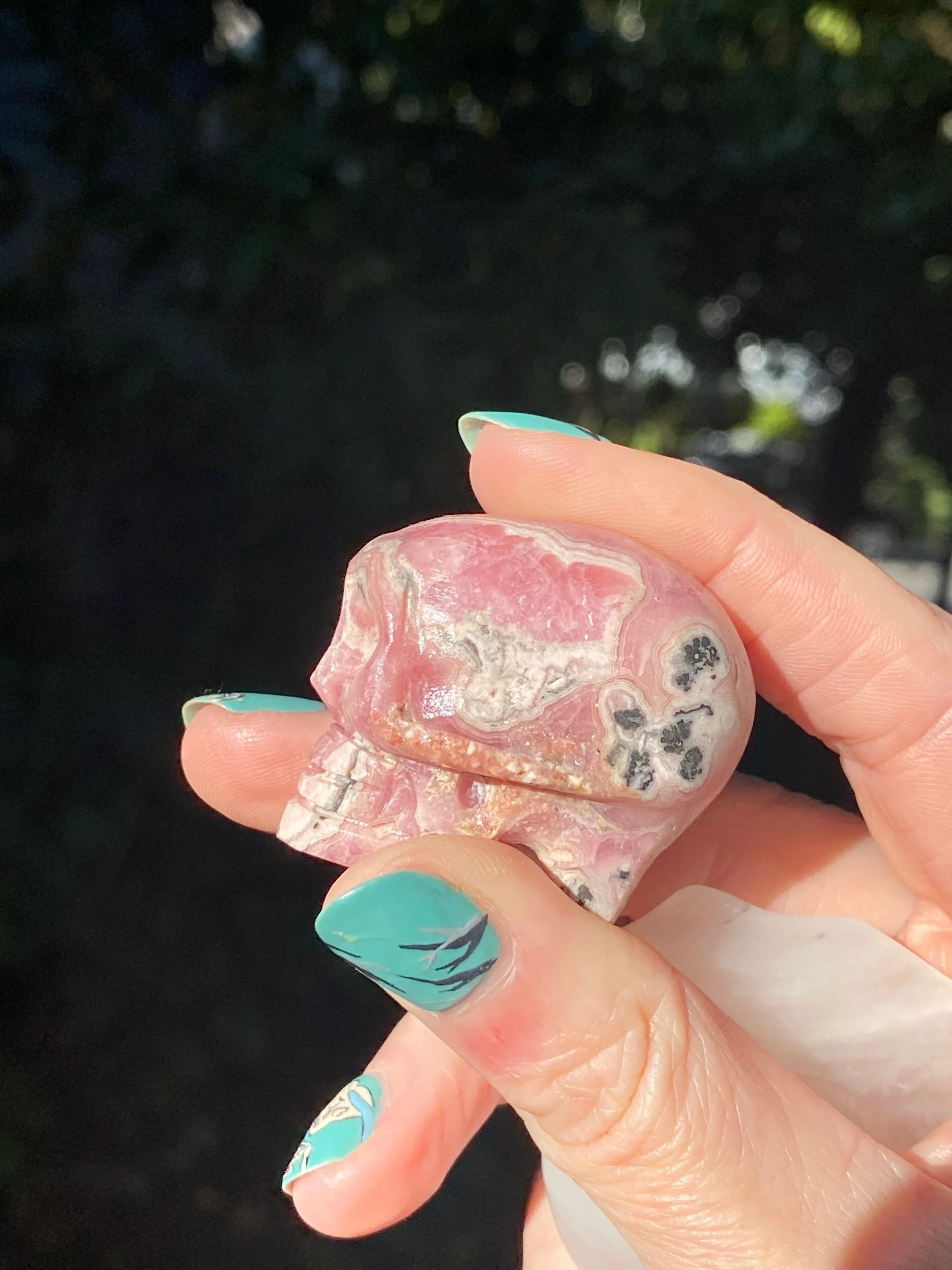 6C1CA761-09EB-4C14-B03D-9206193AD451