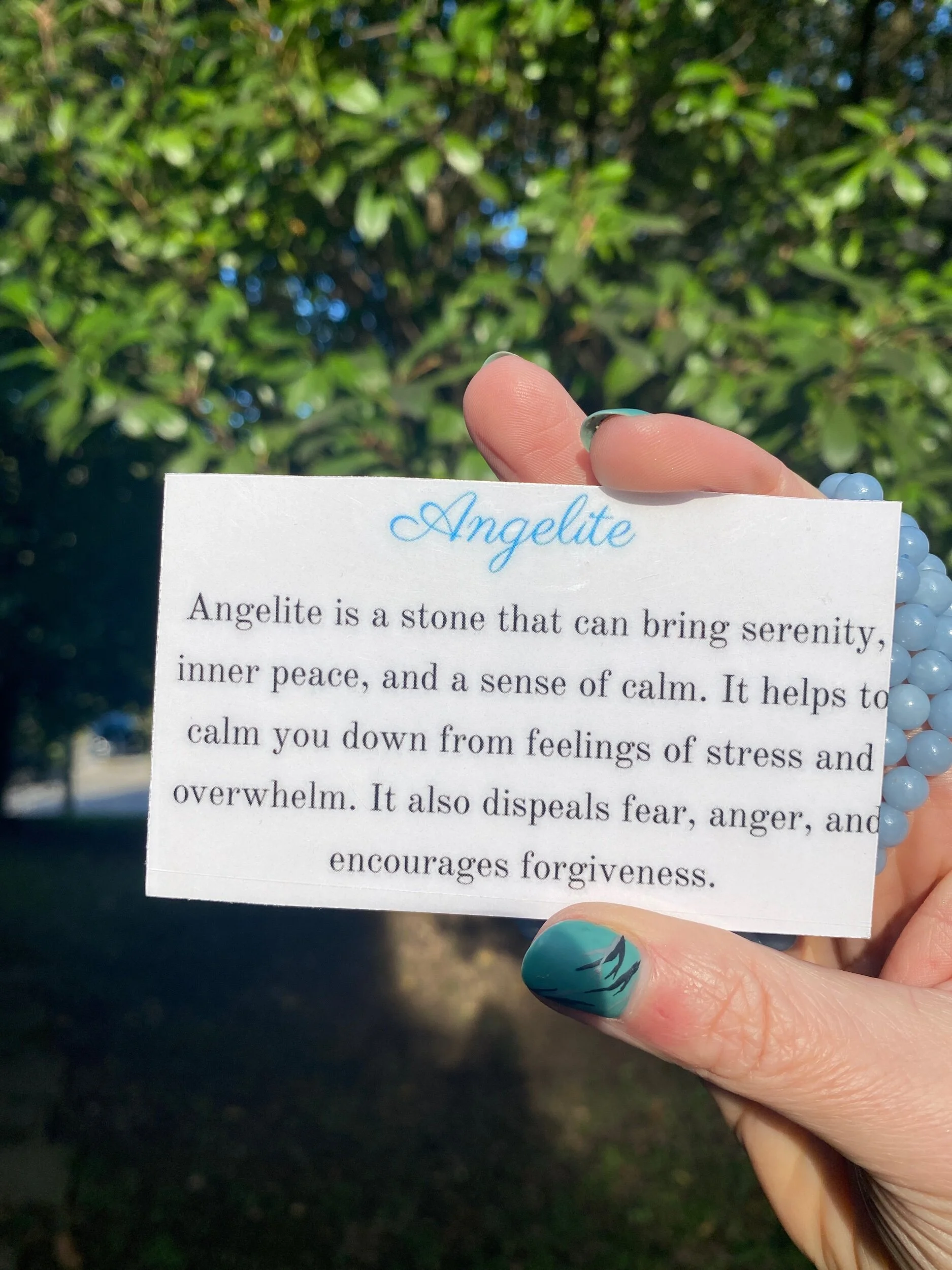 E73BDE55-405C-42FB-884F-723648486313