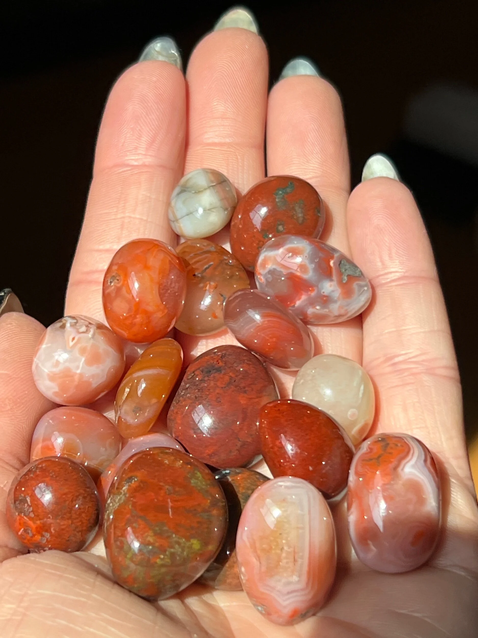 3764C08C-2CFB-46BD-8600-5D22F226D351