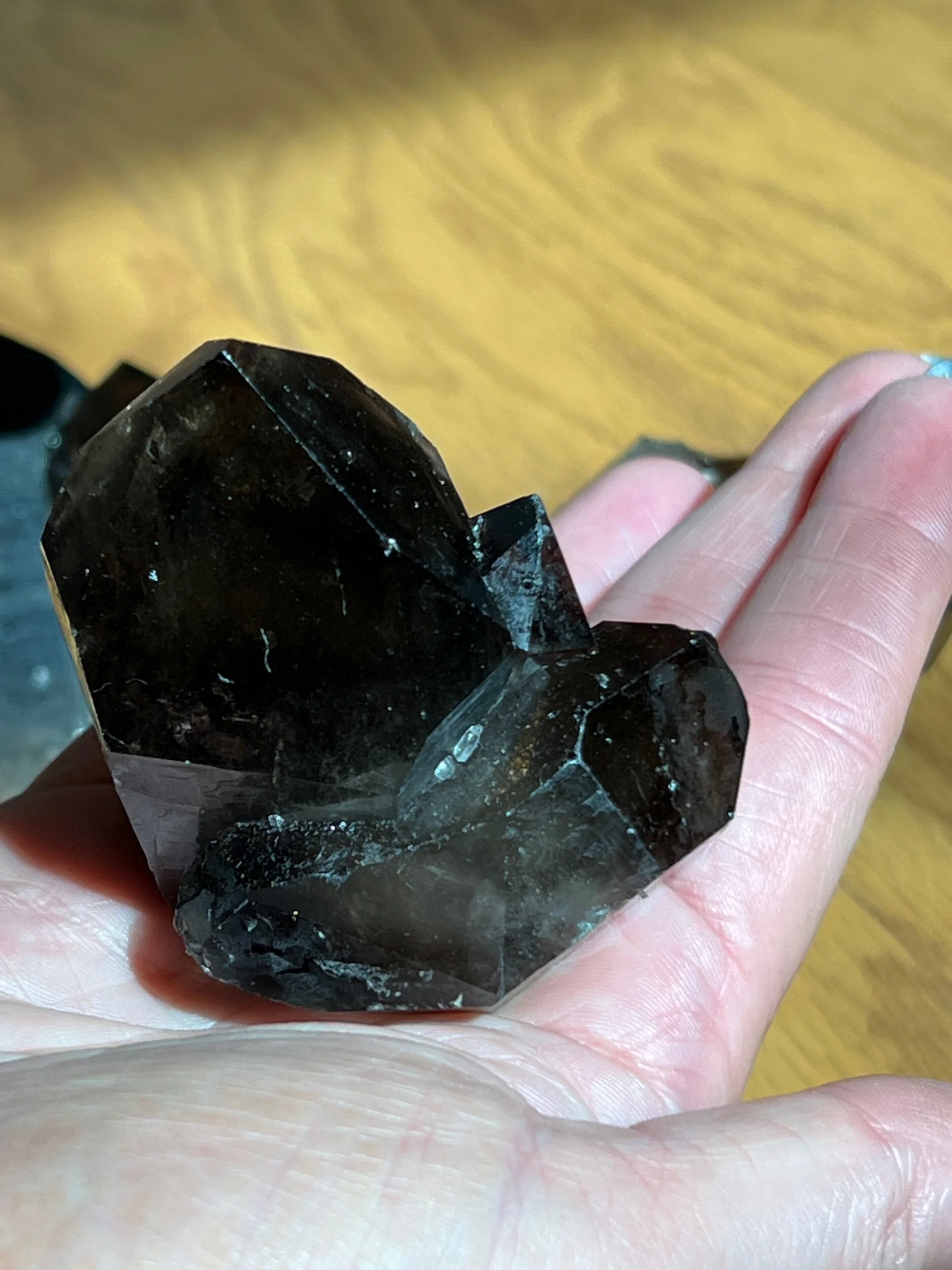 402B0C65-9CF4-42BC-88B7-6923D10E11EB