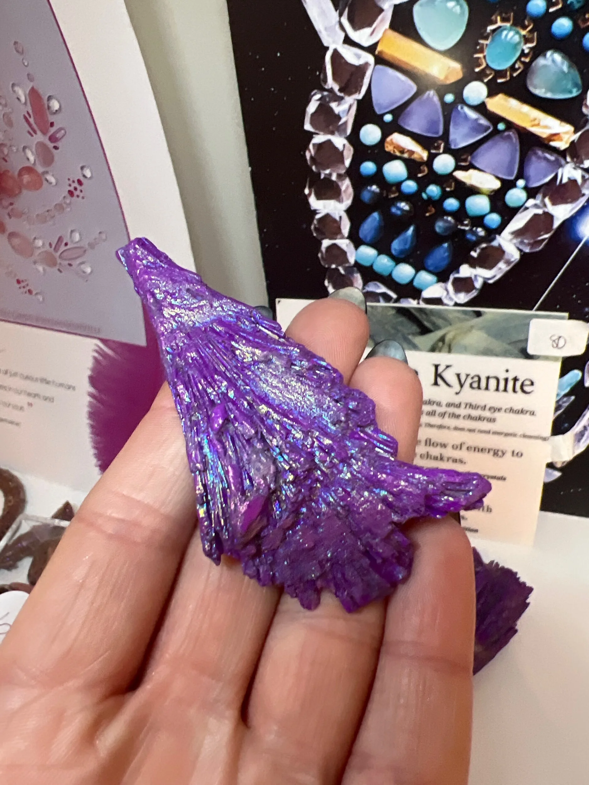 2DE1F67F-769A-4660-89CF-BFD310110415