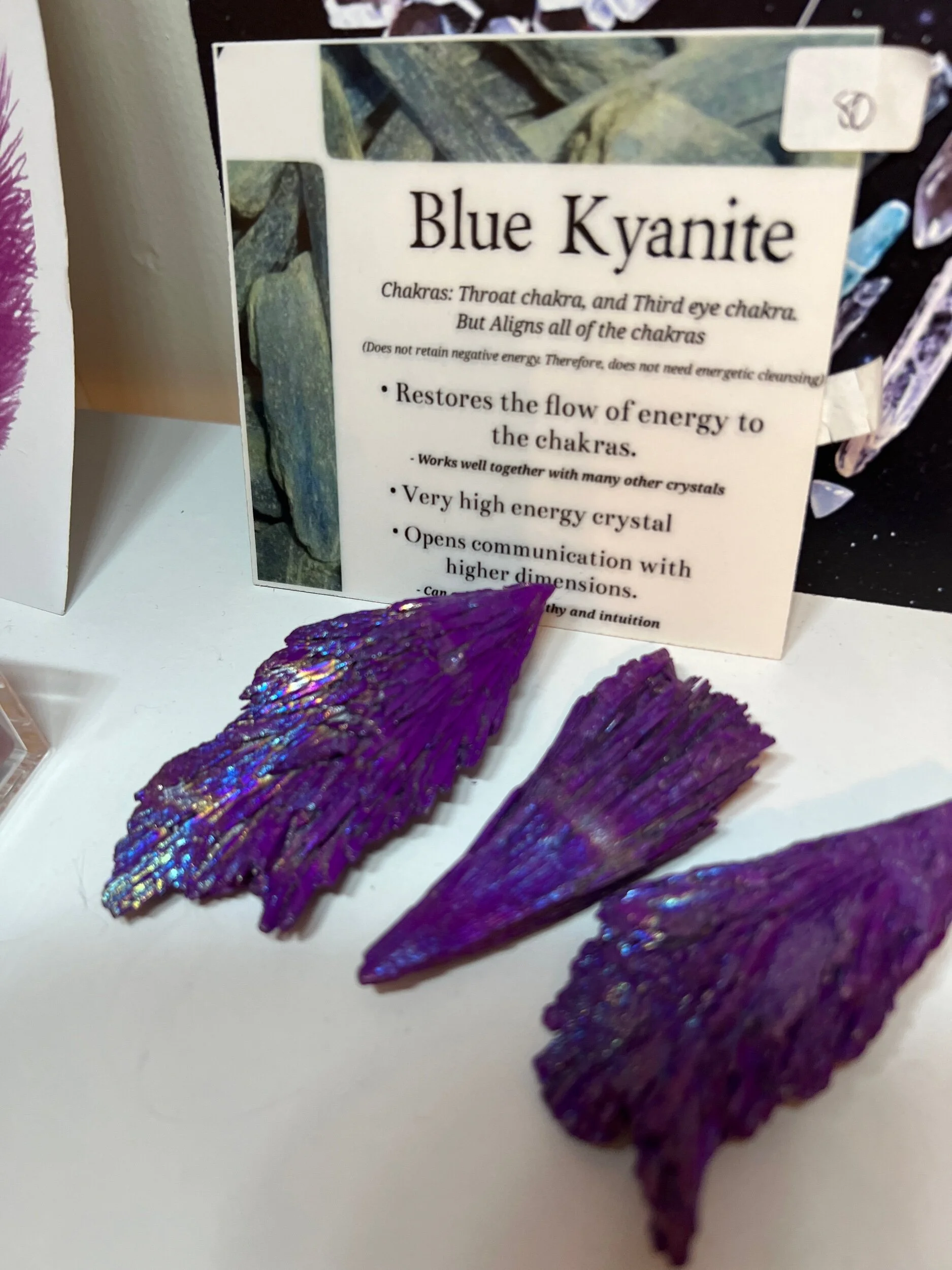 32D02B6D-00E0-4CF9-9263-D226038D538A