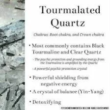 491017B9-335E-4E28-8DC1-4F88636EB1F1