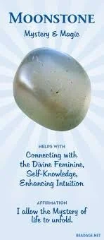 FAA4A3AF-F133-4DB3-9595-72BDE0EA5258