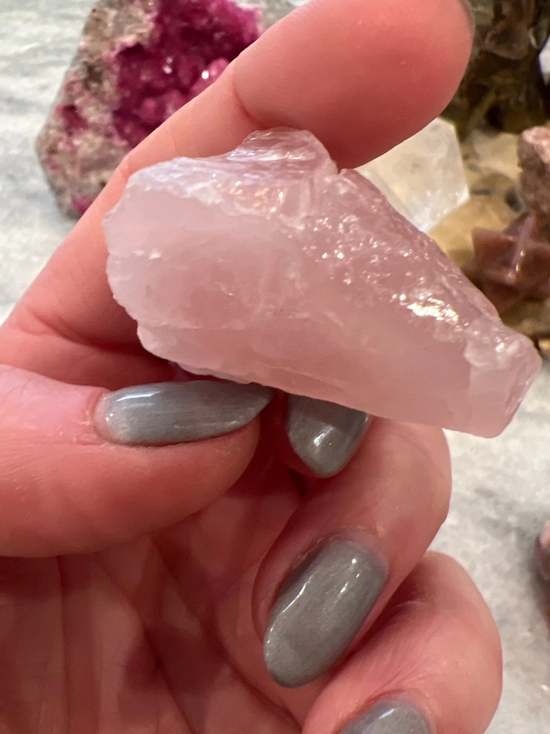 D1C94460-C86E-444B-8DCA-8C90B795A242