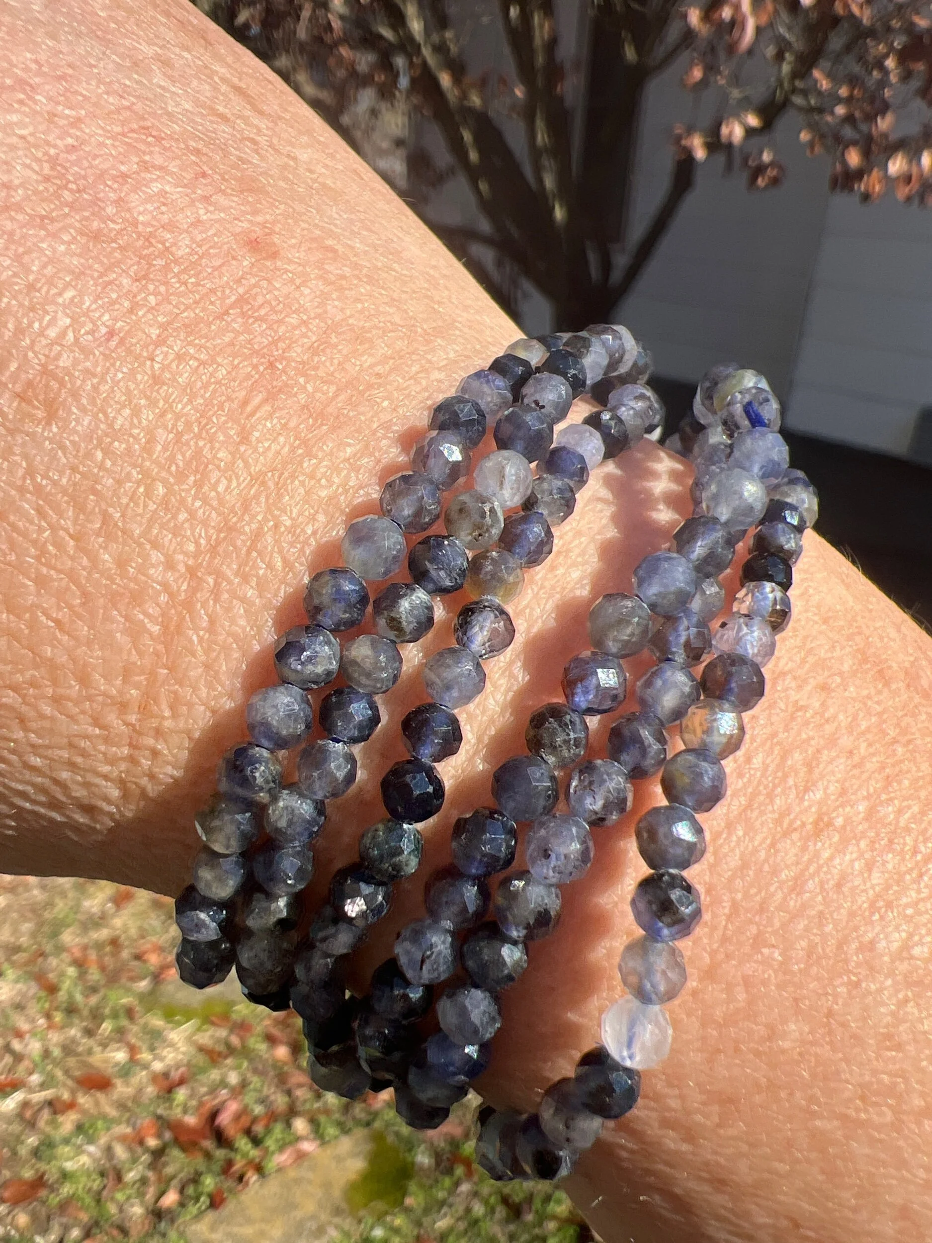 1B1B9370-09E4-44E1-A82E-40E91BB9BDD7