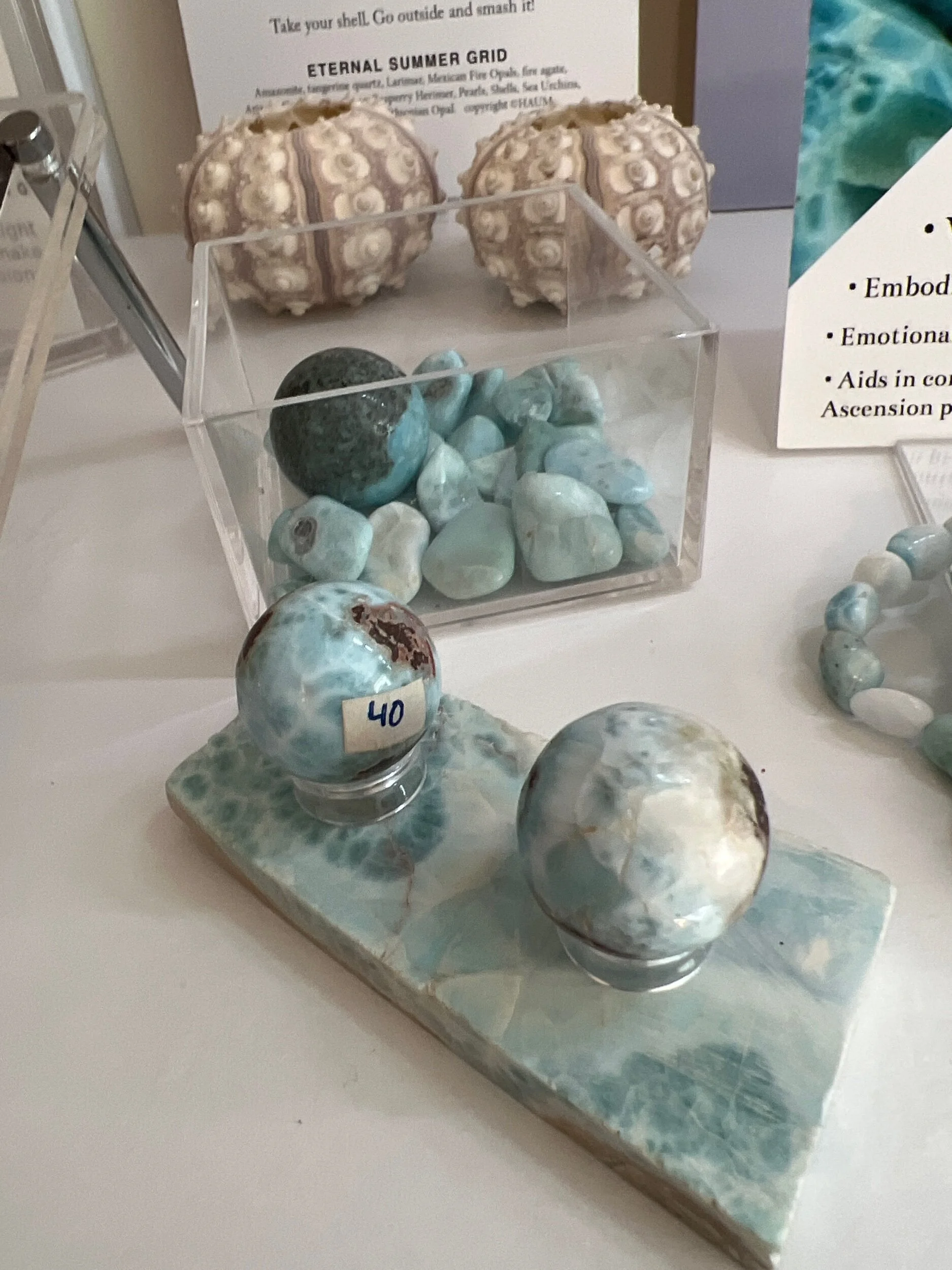 F4E45D58-8236-4910-BFB8-D34206A08951