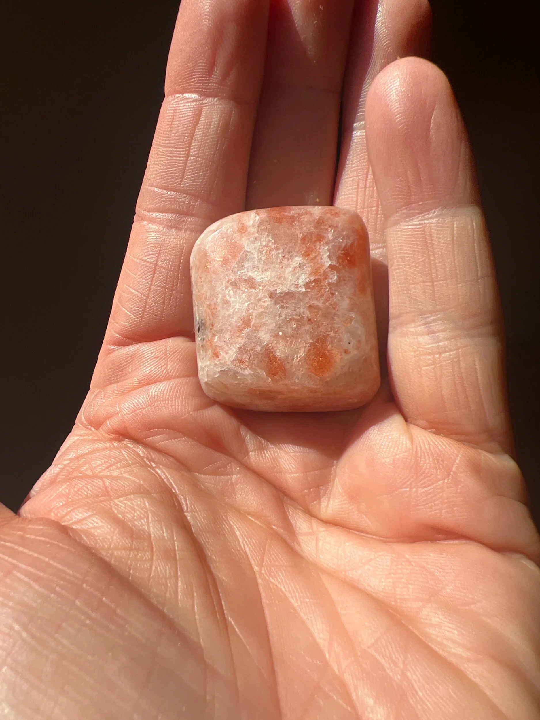 4B17C73F-58E7-4176-9F27-9F8B0BD571FF