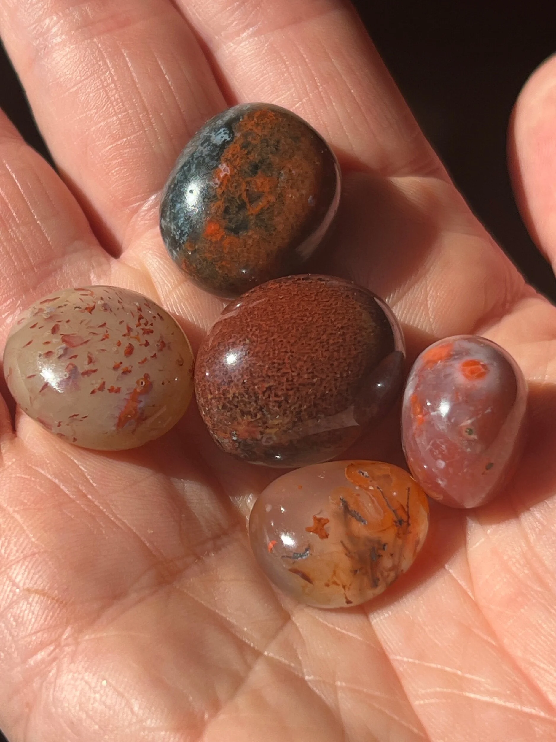 C75A9BB0-7ABF-41AD-B41F-8A2A3F1FD465