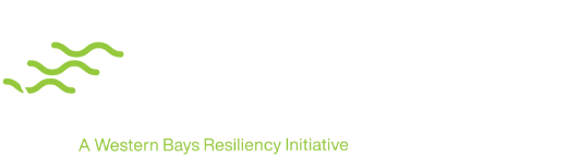 Bay Park Conveyance Project