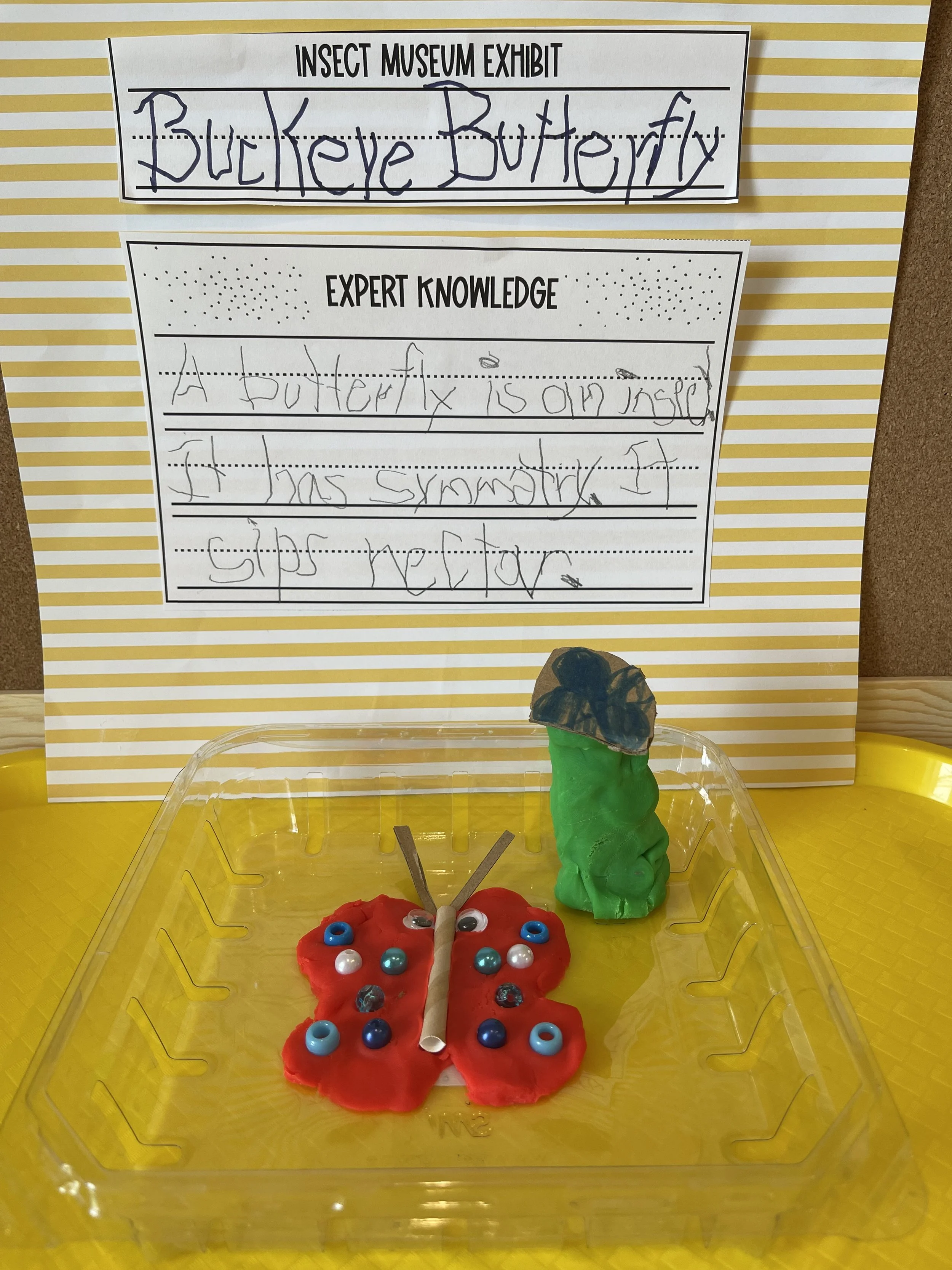 The Mighty Insect A PBL Unit Review — I Heart Learning and Teaching