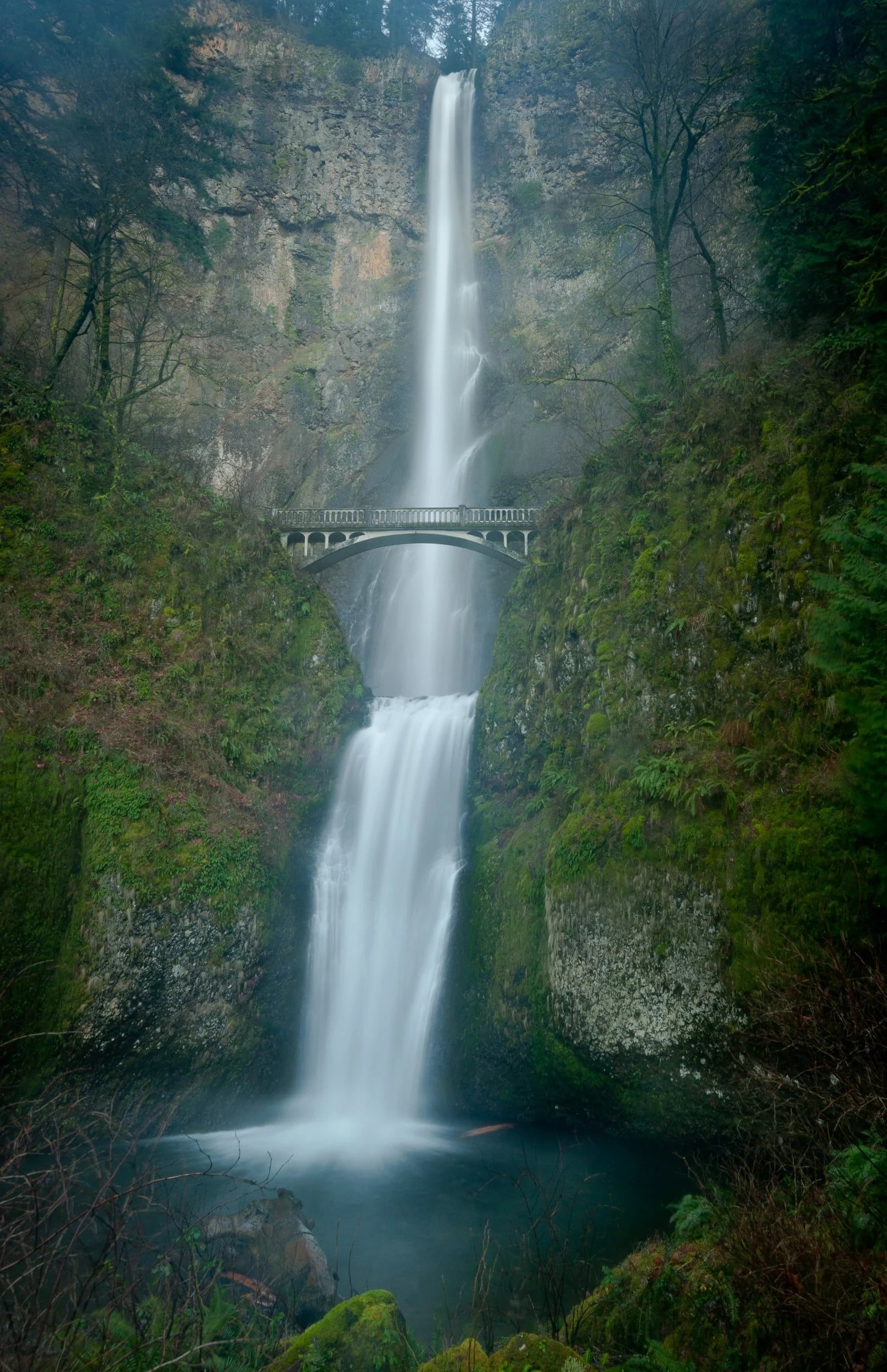 Multnomah Falls Permit Pickup