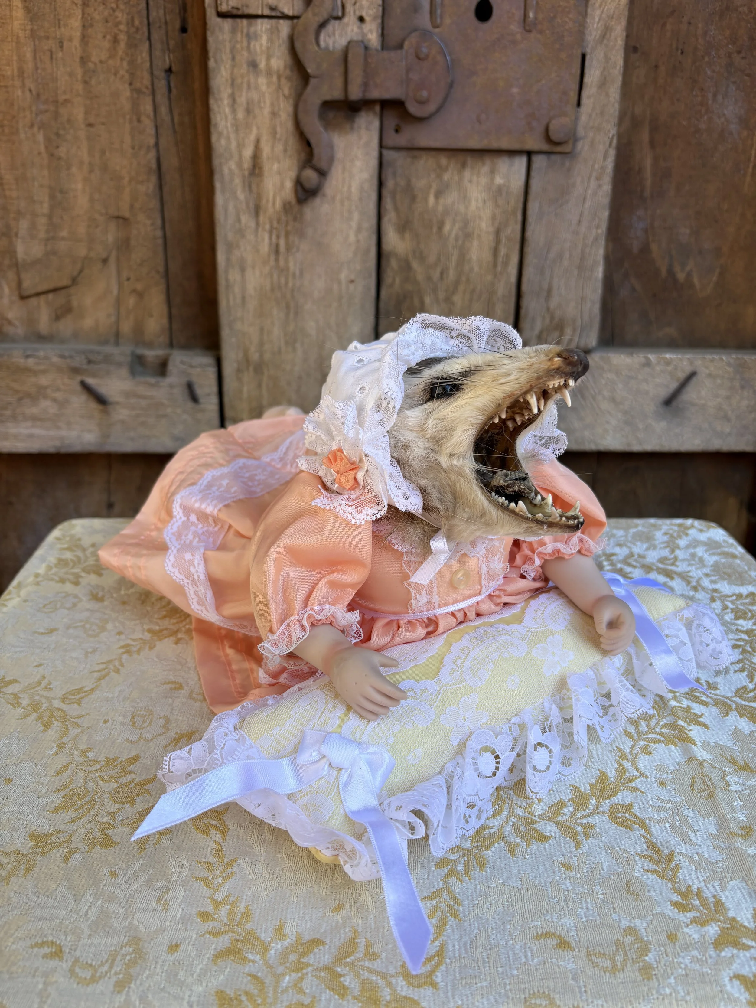 Odette the Baby Doll Opossum