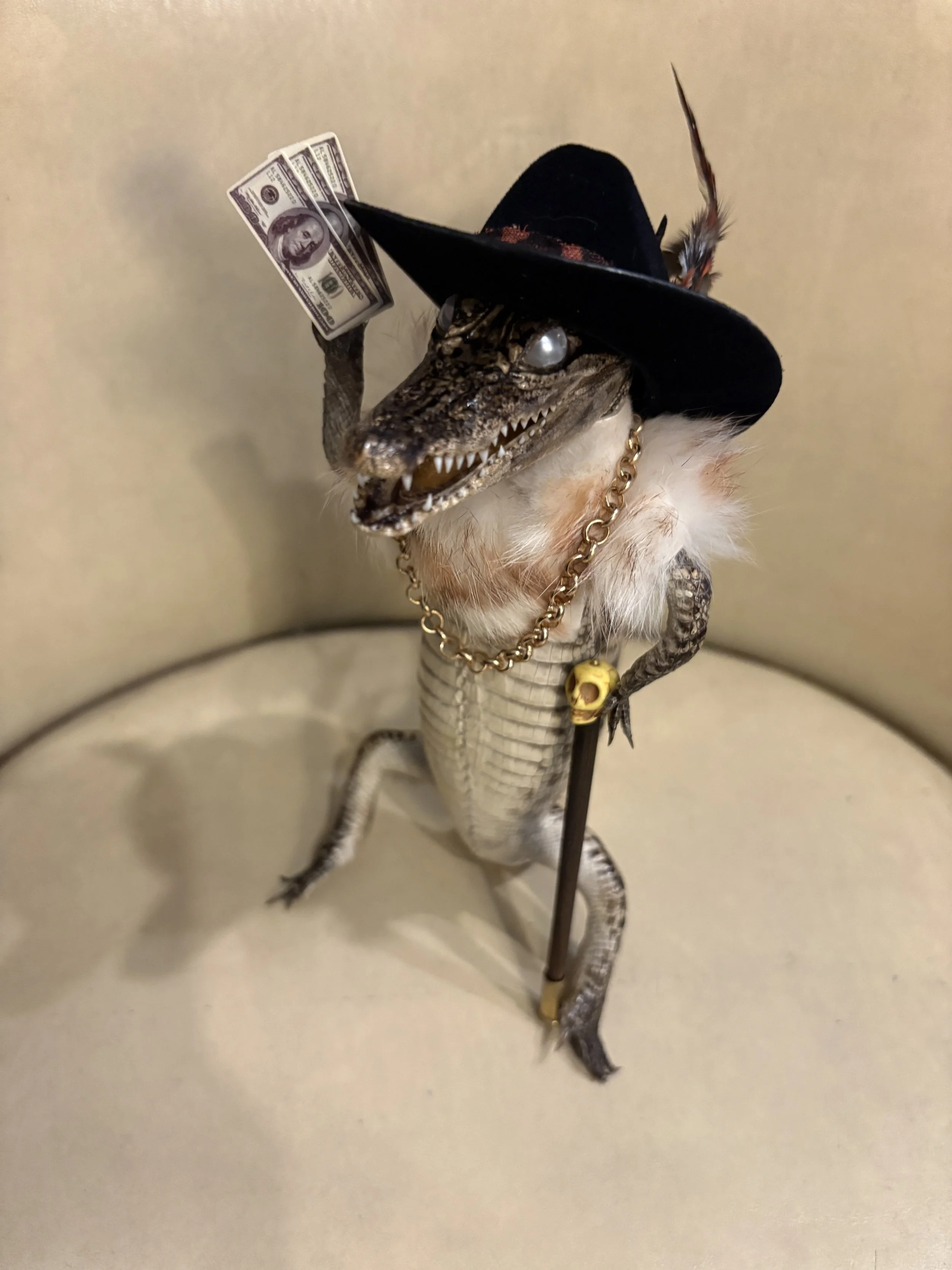Lil' Voodoo Daddies