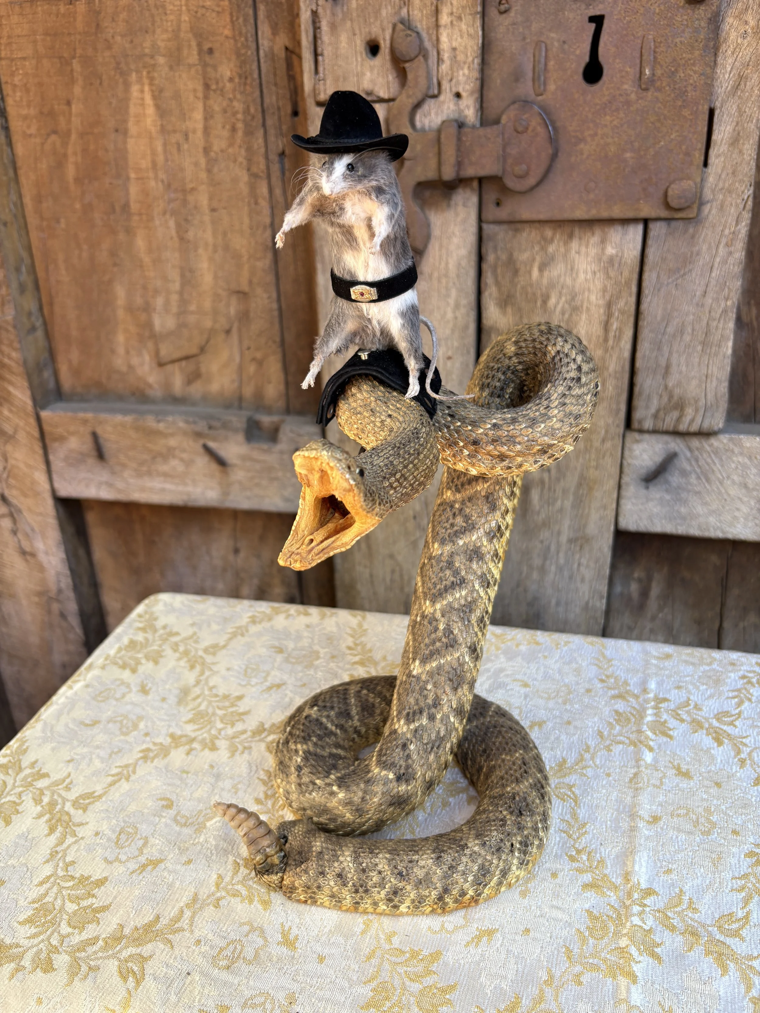 Rip the Rattler Wrangler