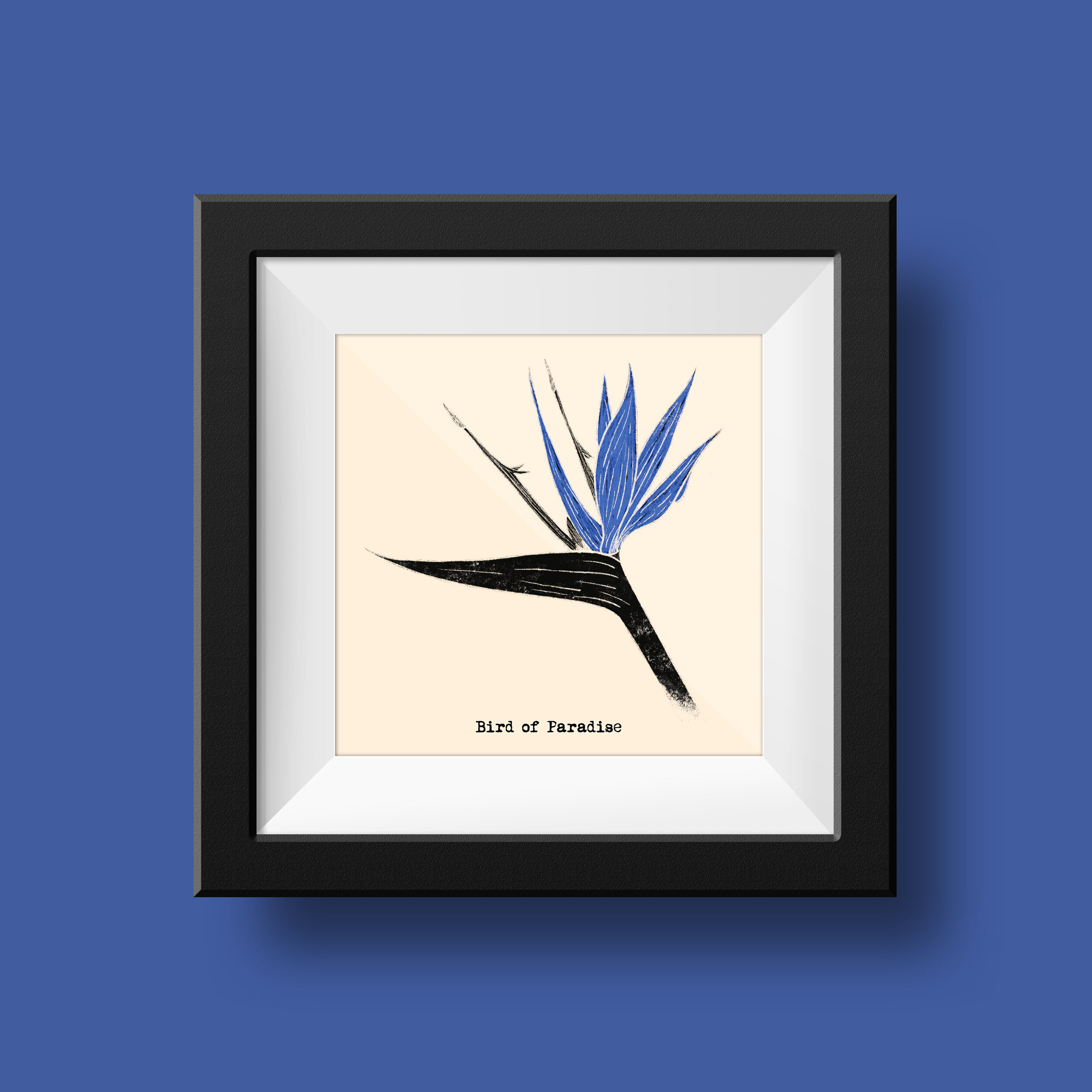 bird frames.jpg