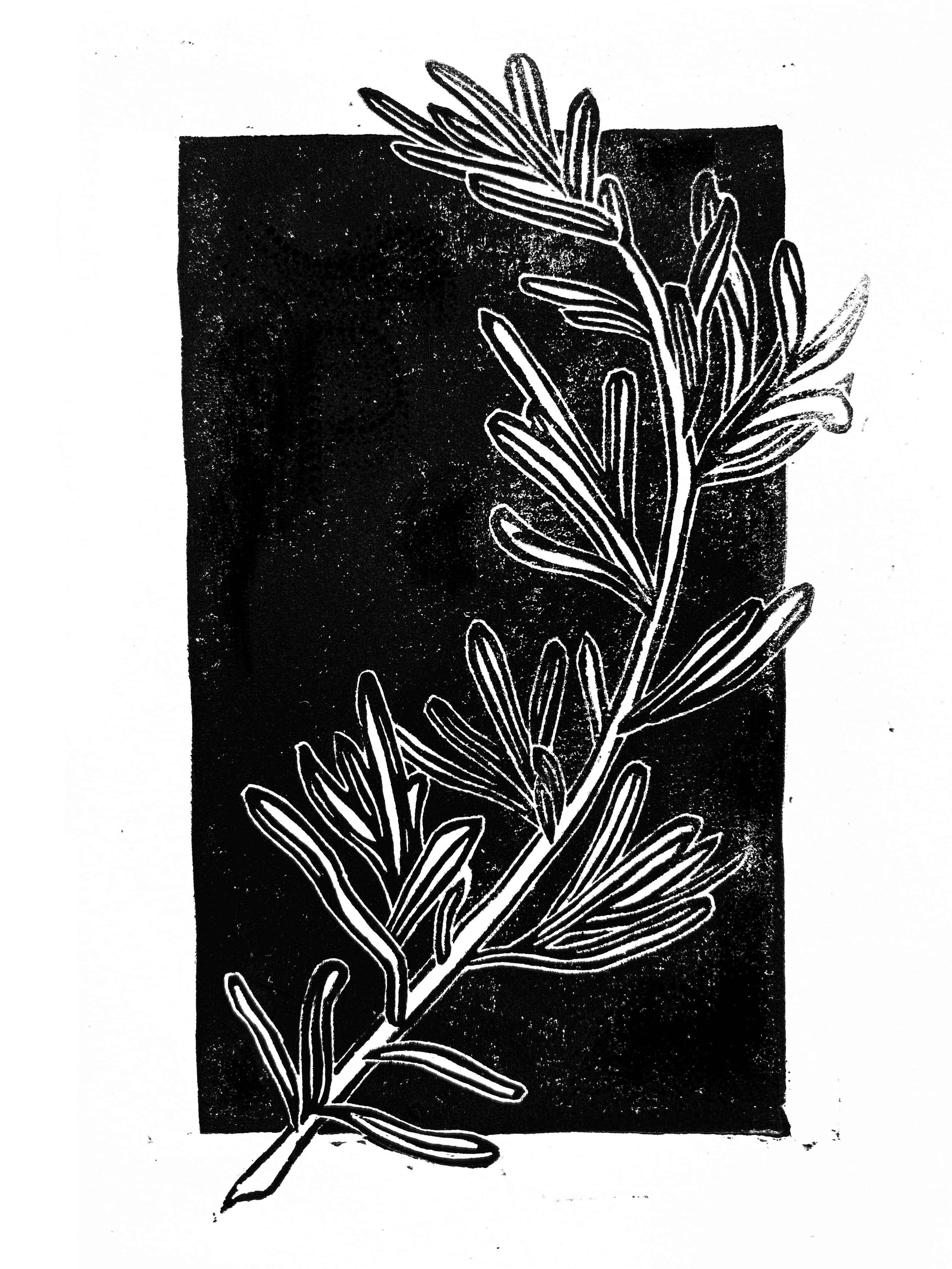 02. Rosemary.jpg