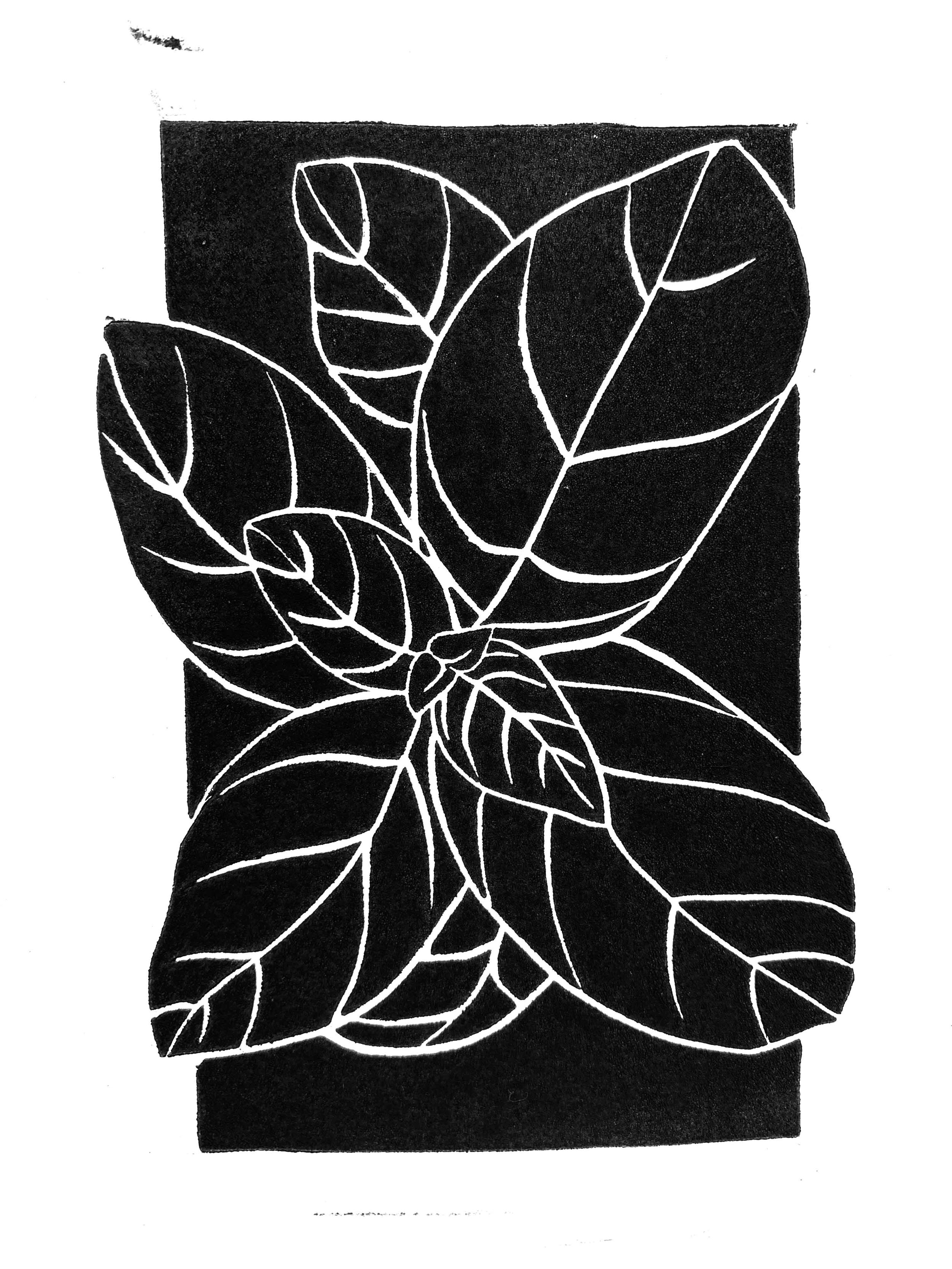11. Basil.jpg