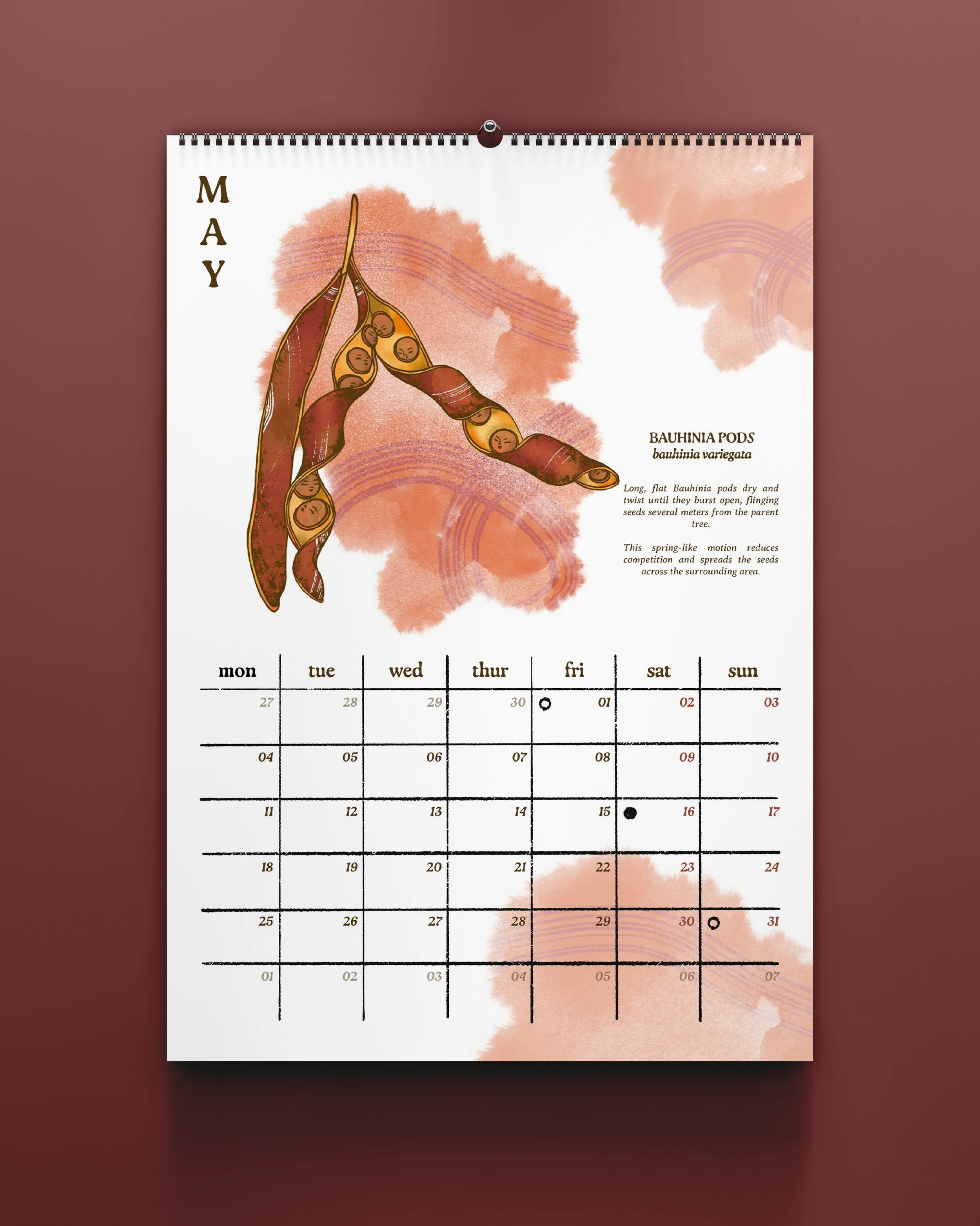 Calendars 2026_Insta Mockups_5.jpg