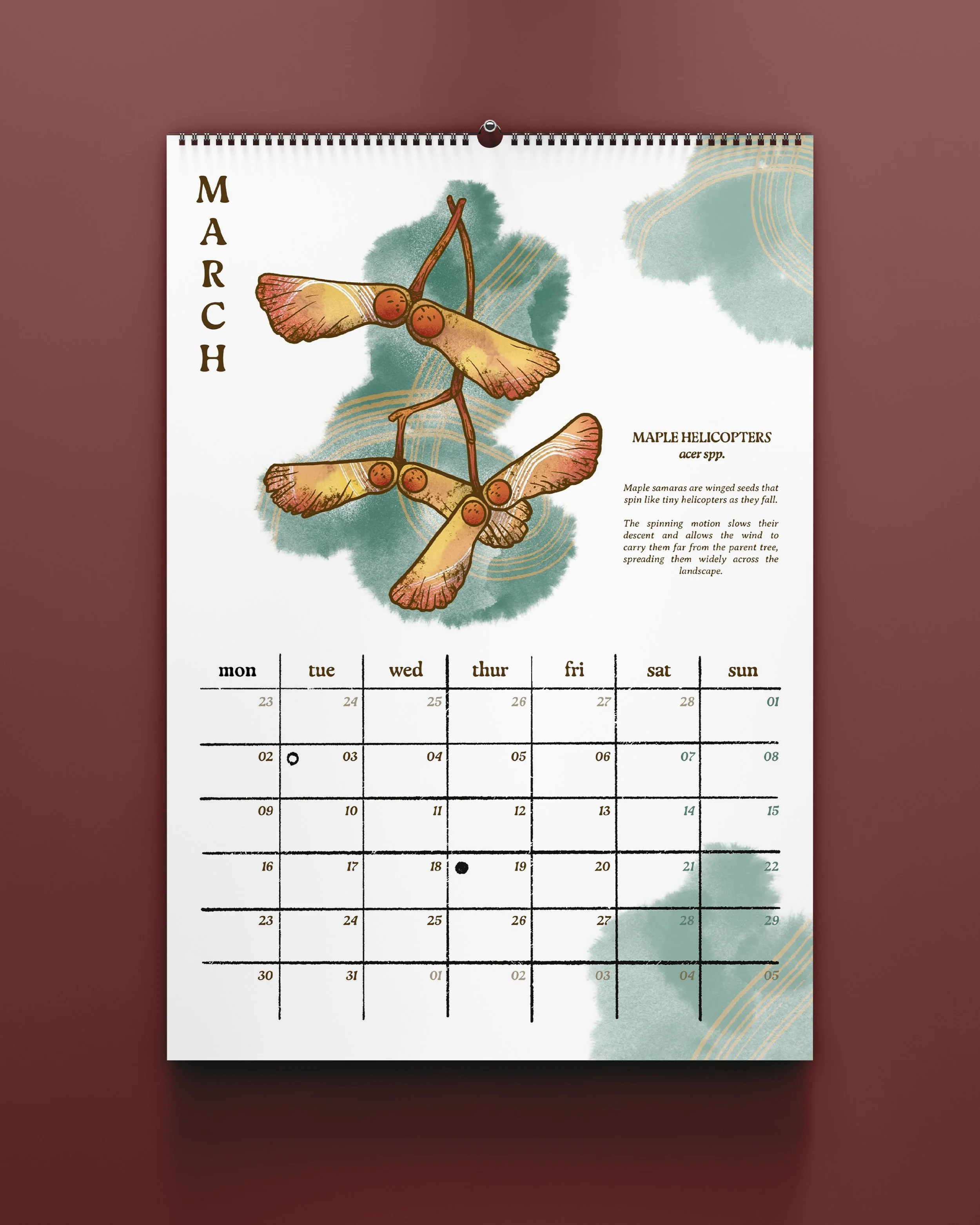 Calendars 2026_Insta Mockups_3.jpg