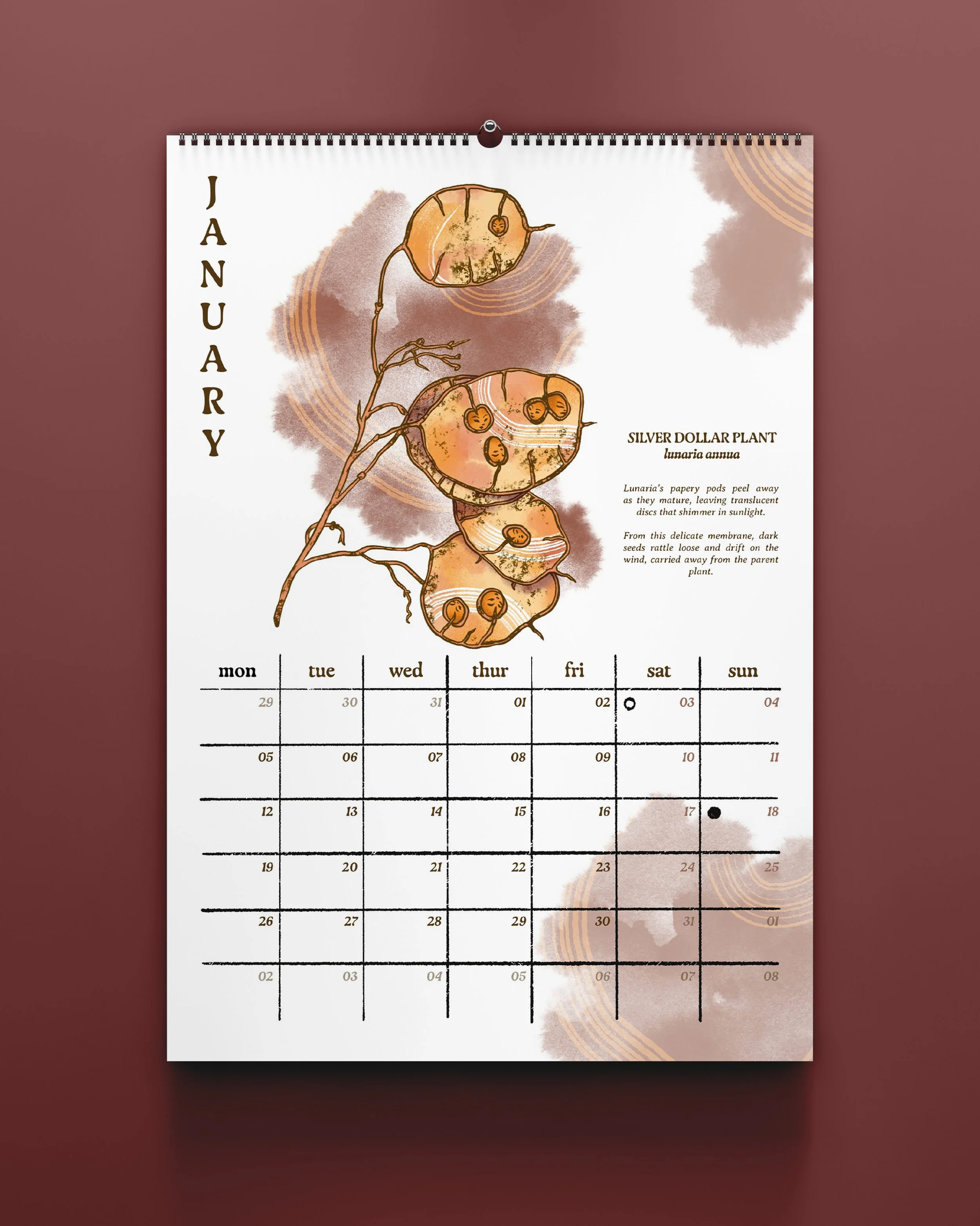 Calendars 2026_Insta Mockups_1.jpg