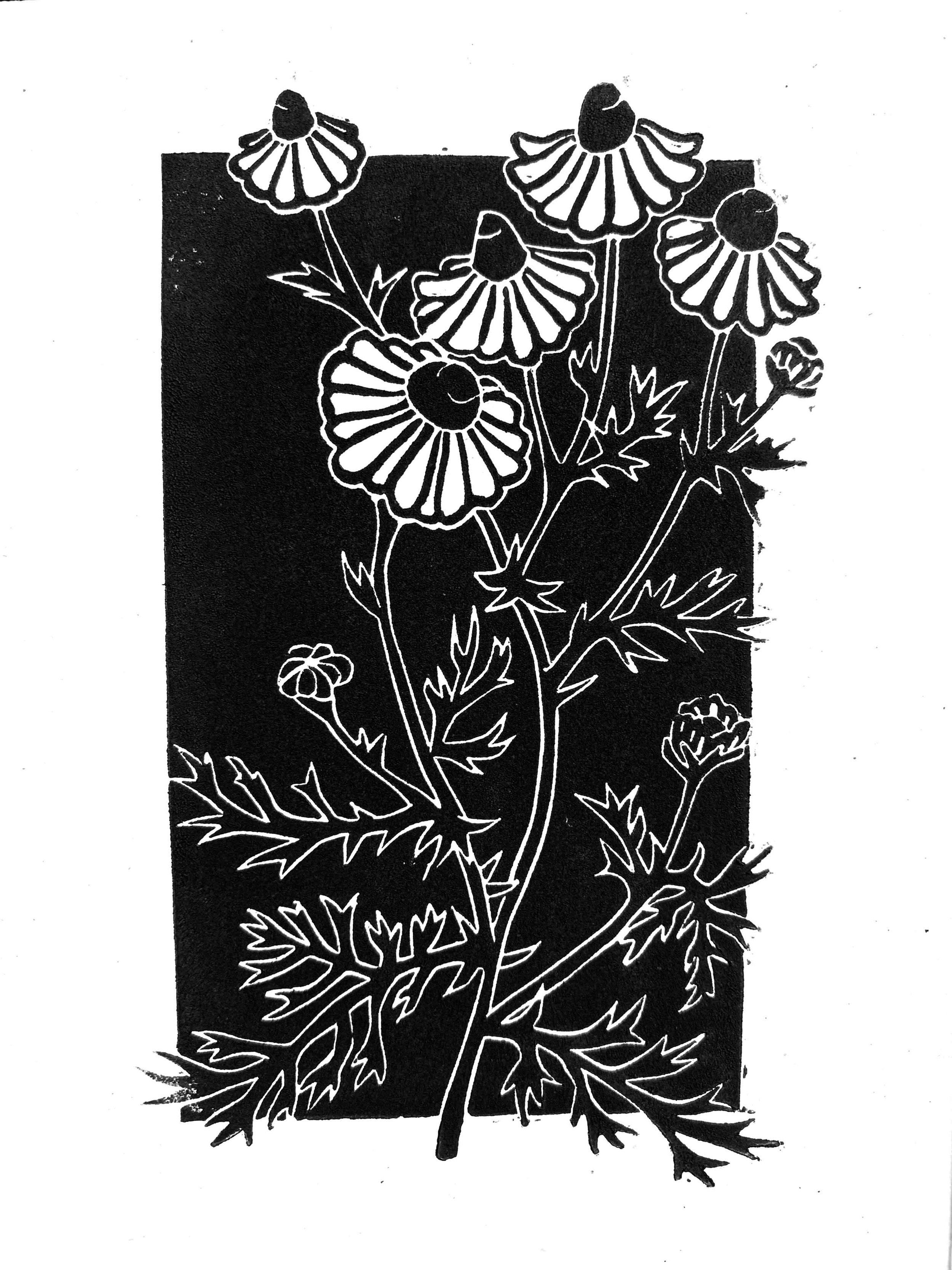 06. Chamomile.jpg