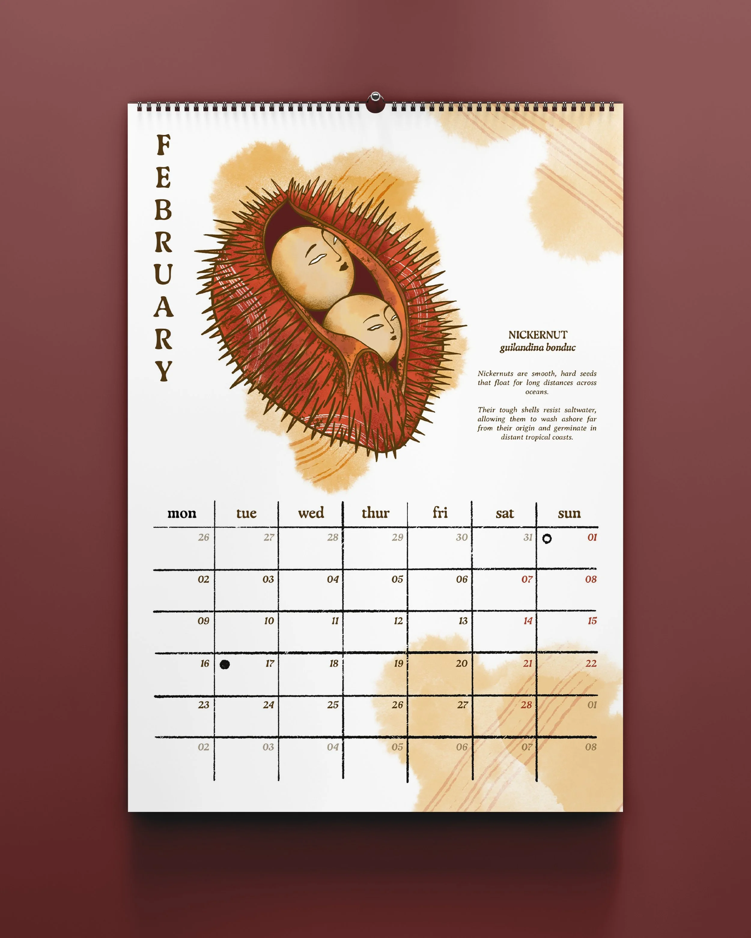 Calendars 2026_Insta Mockups_2.jpg