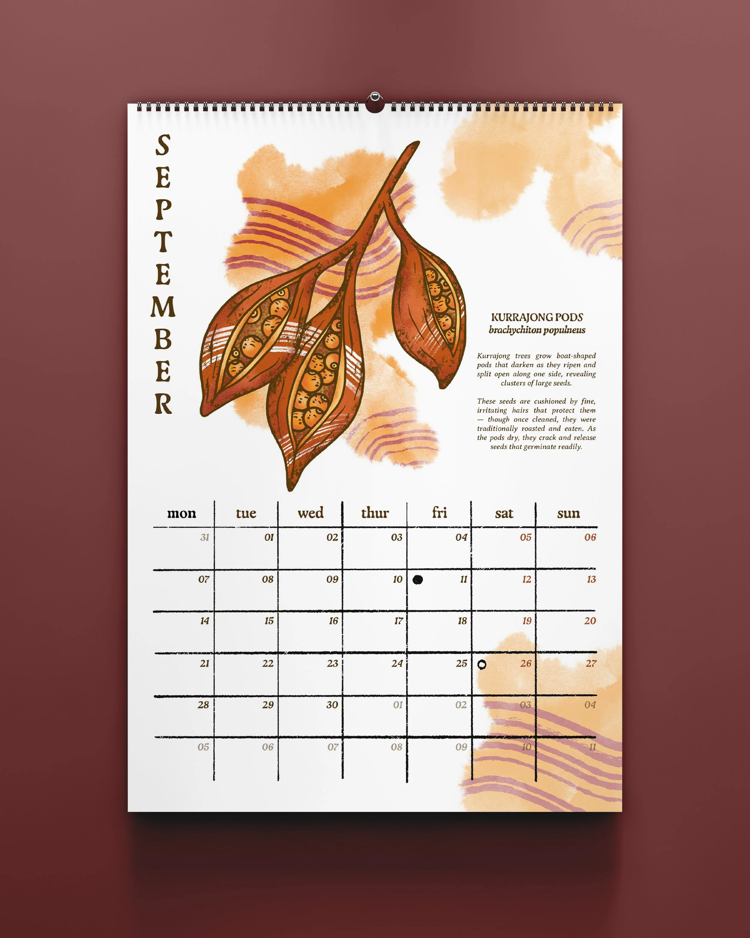 Calendars 2026_Insta Mockups_9.jpg