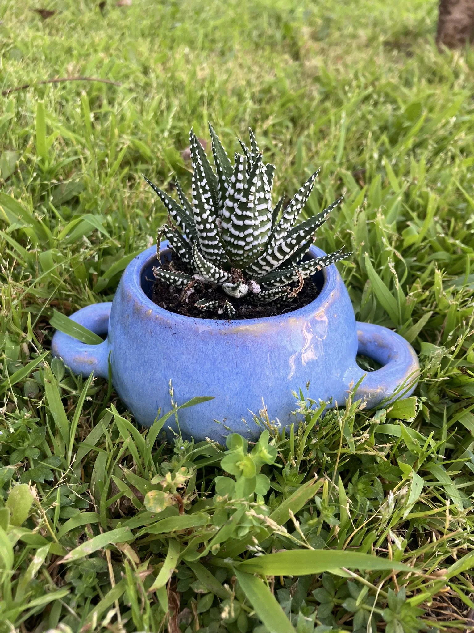 Sky Blue Mini Planter