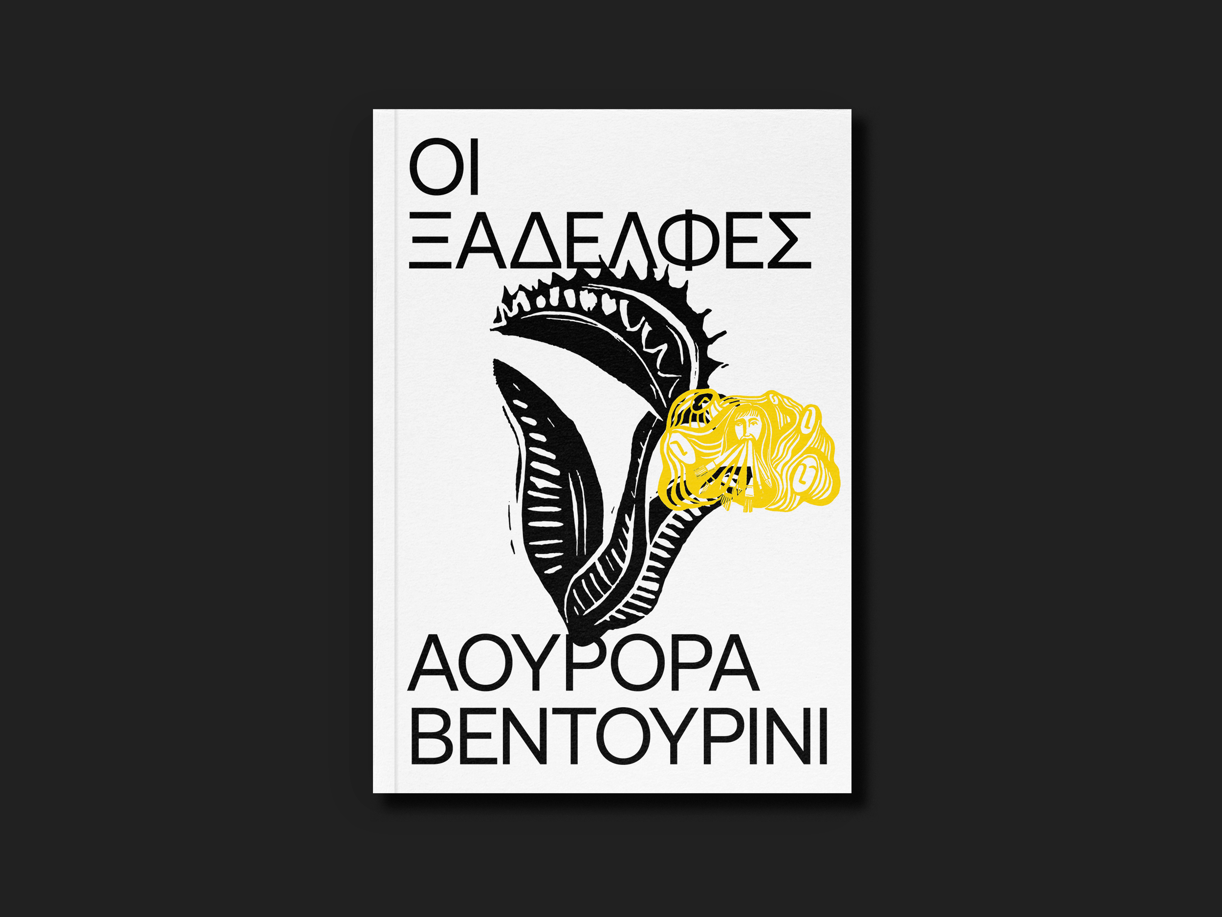 11.ΟΙ ΞΑΔΕΛΦΕΣ-2.png