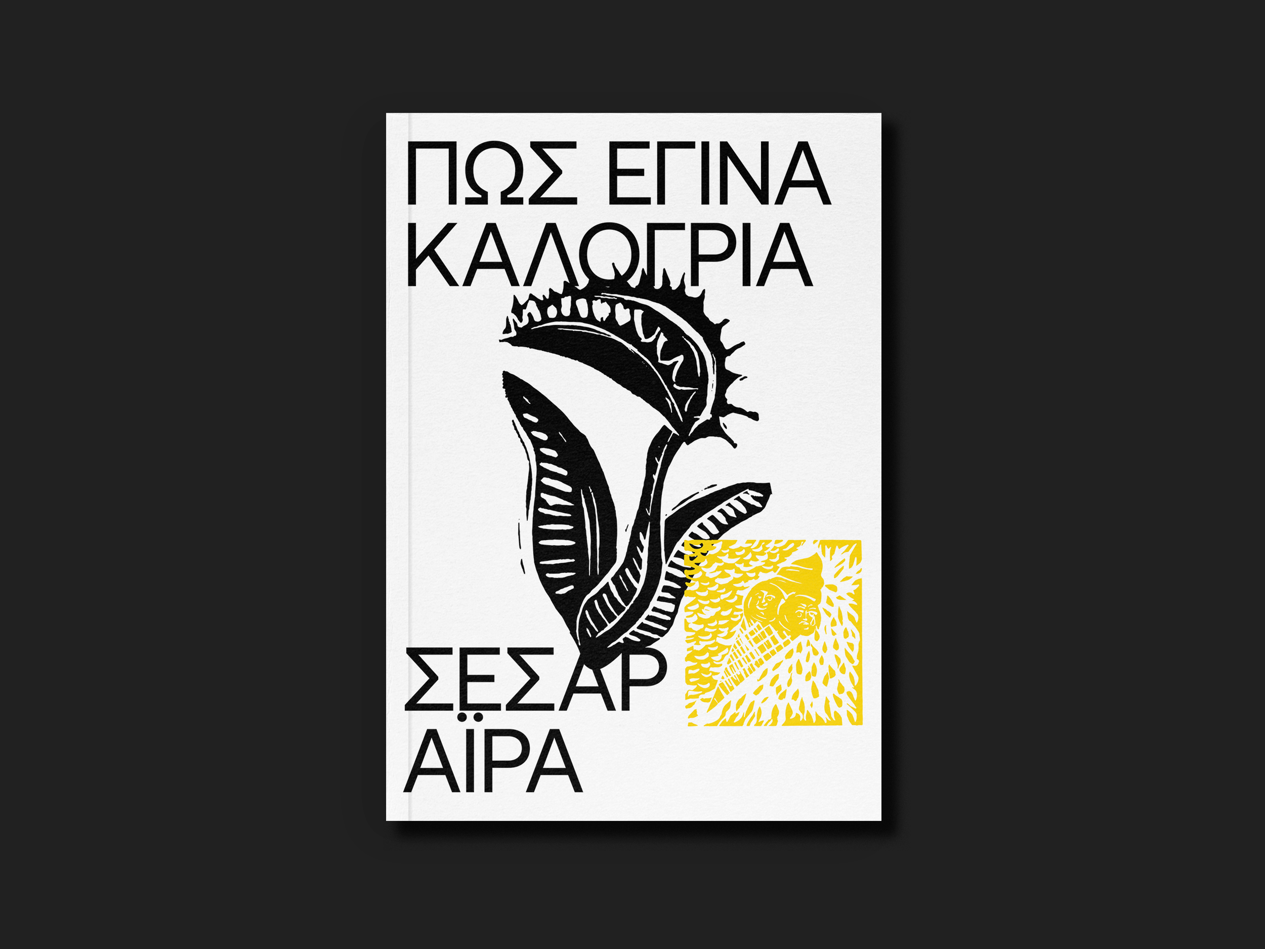 1.ΠΩΣ ΕΓΙΝΑ ΚΑΛΟΓΡΙΑ-2.png